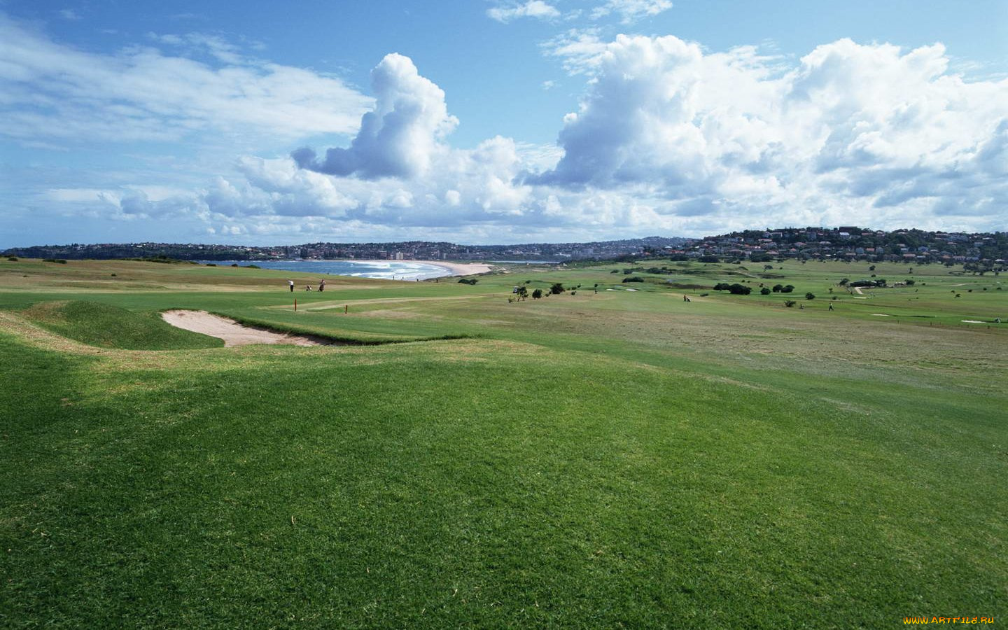 природа, поля