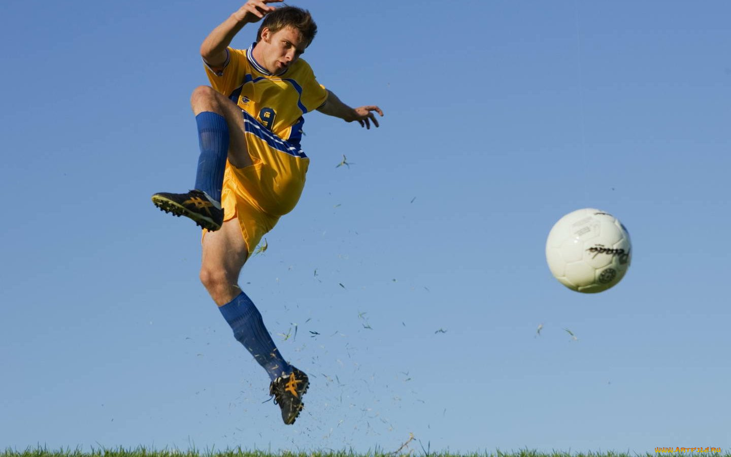 спорт, футбол