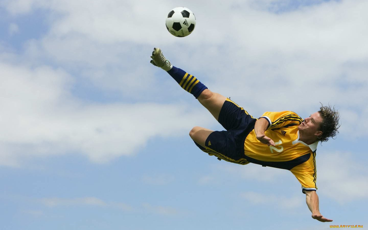 спорт, футбол