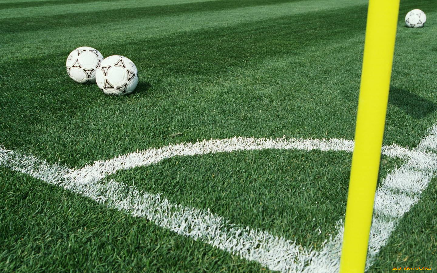 спорт, футбол