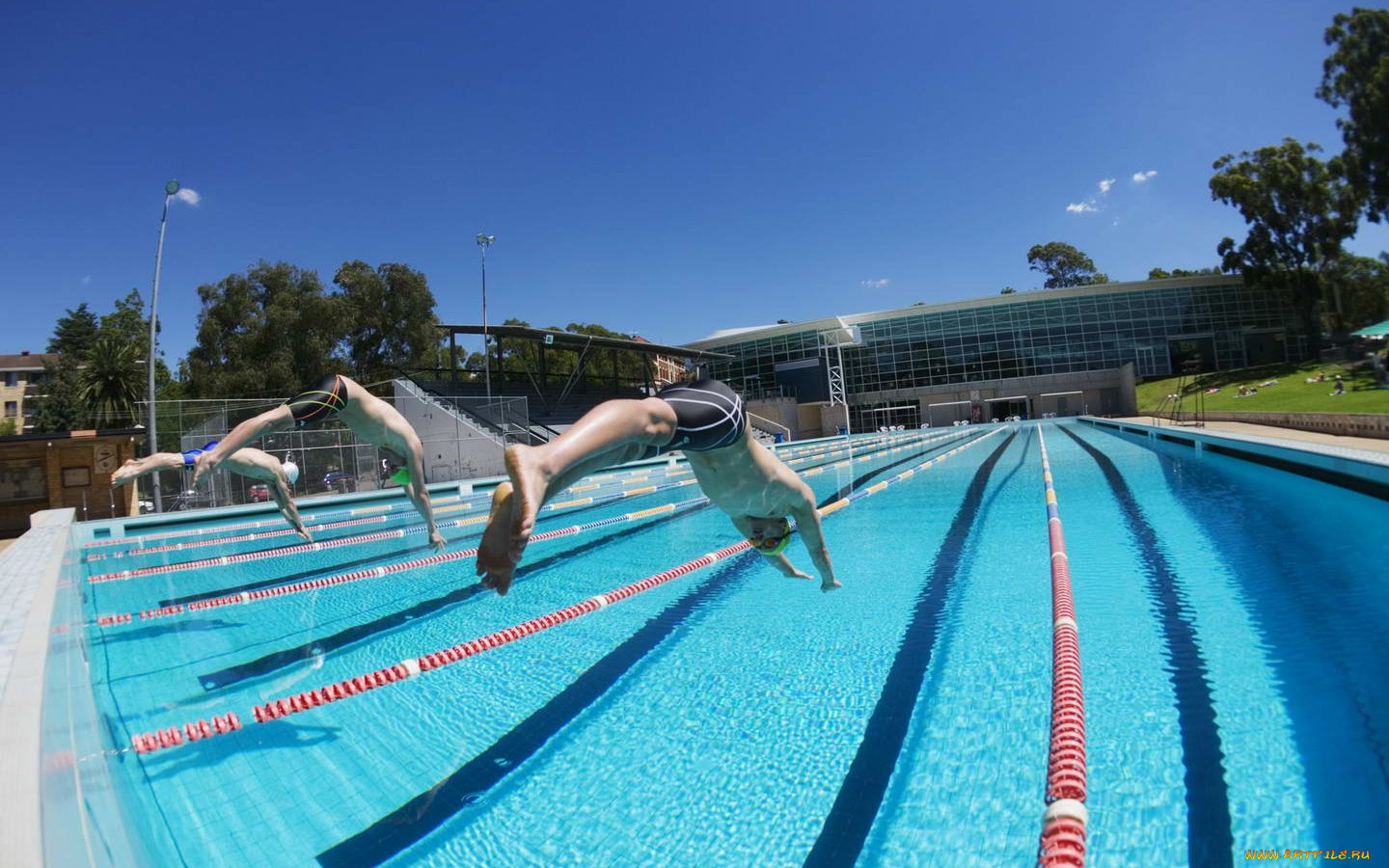 спорт, плавание