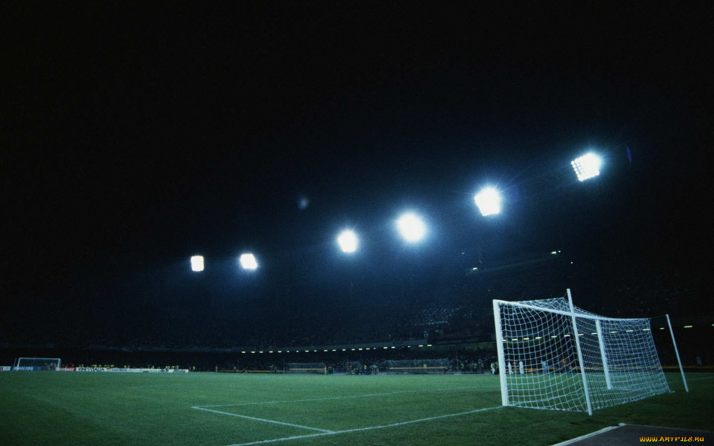 спорт, стадионы