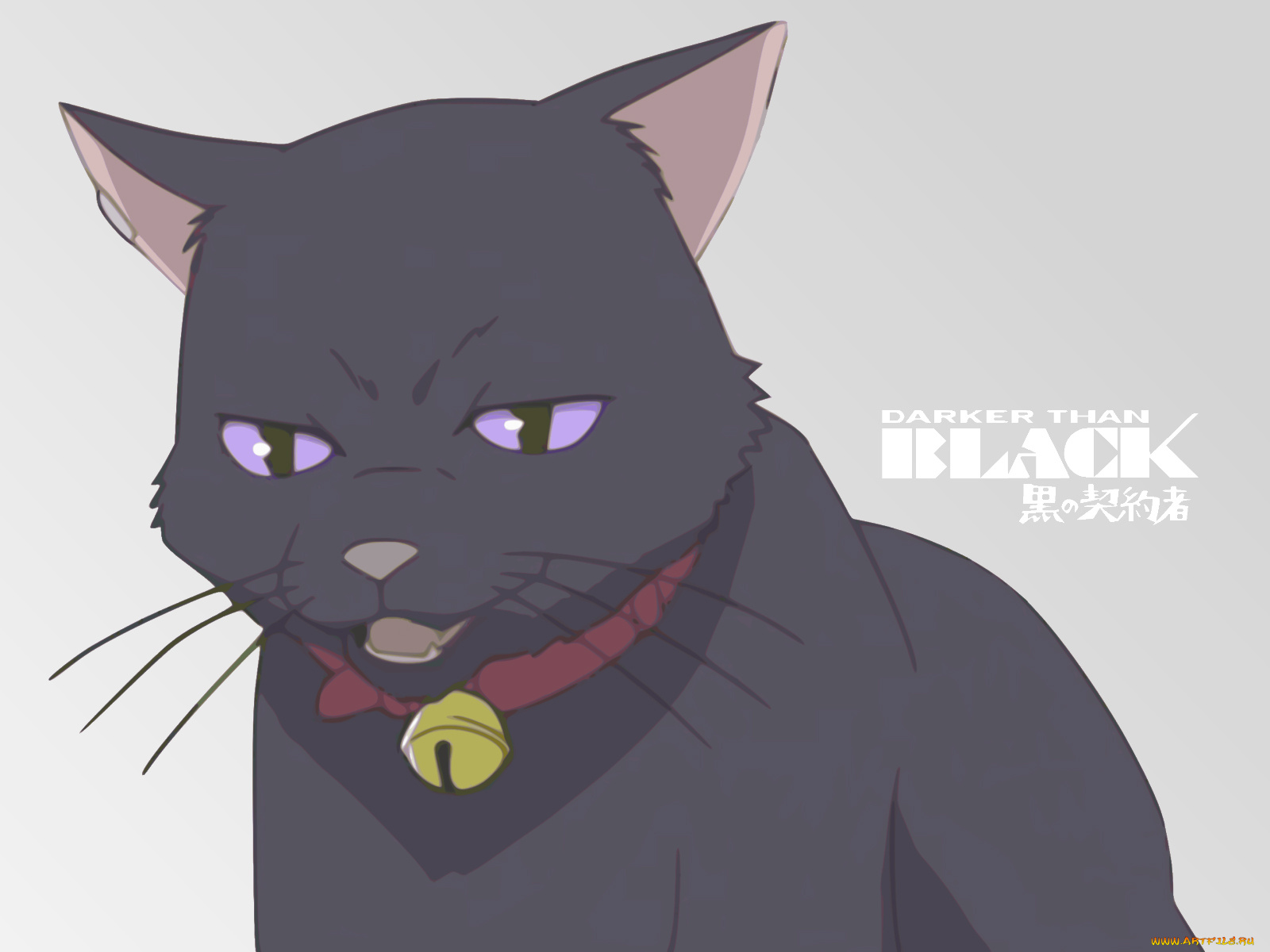 аниме, darker, than, black