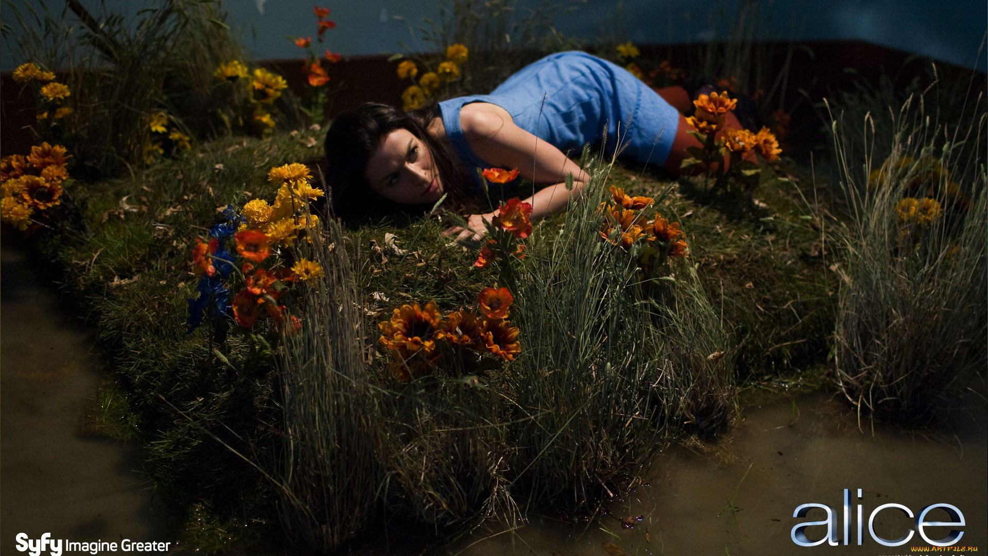 alice, кино, фильмы