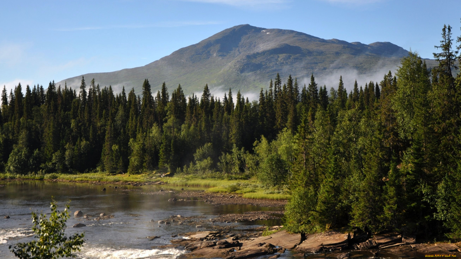 природа, реки, озера, река, лес, гора