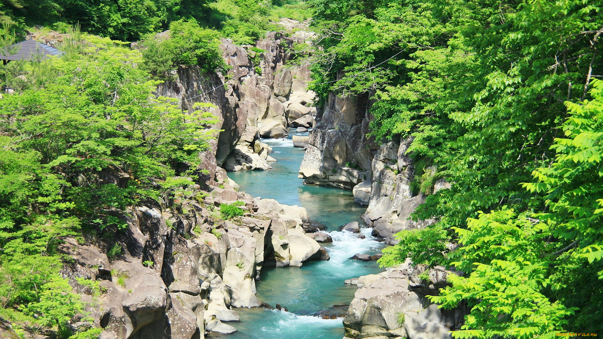 природа, реки, озера, вода, камни, лес