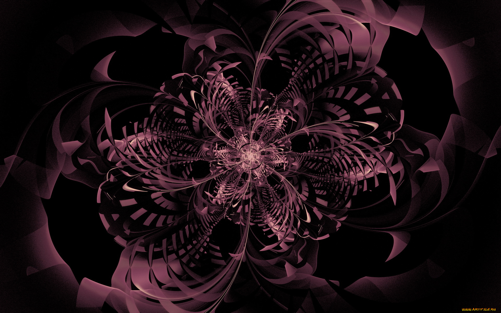 3д, графика, fractal, фракталы, абстракции