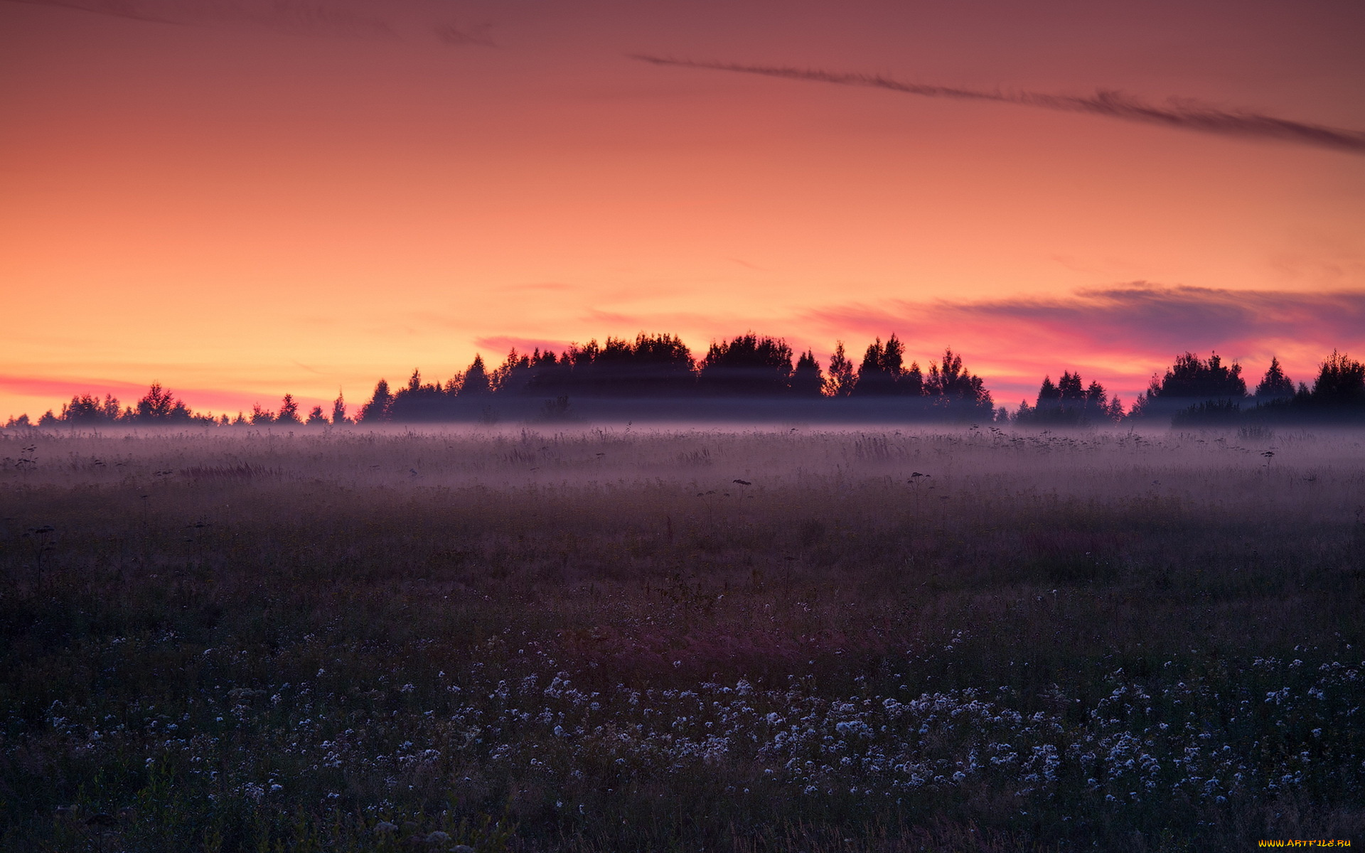 природа, луга