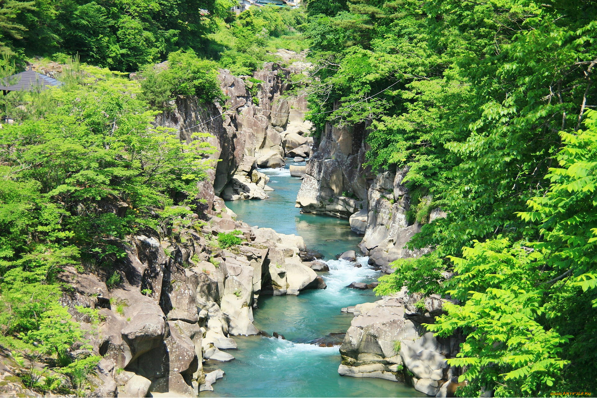 природа, реки, озера, вода, камни, лес