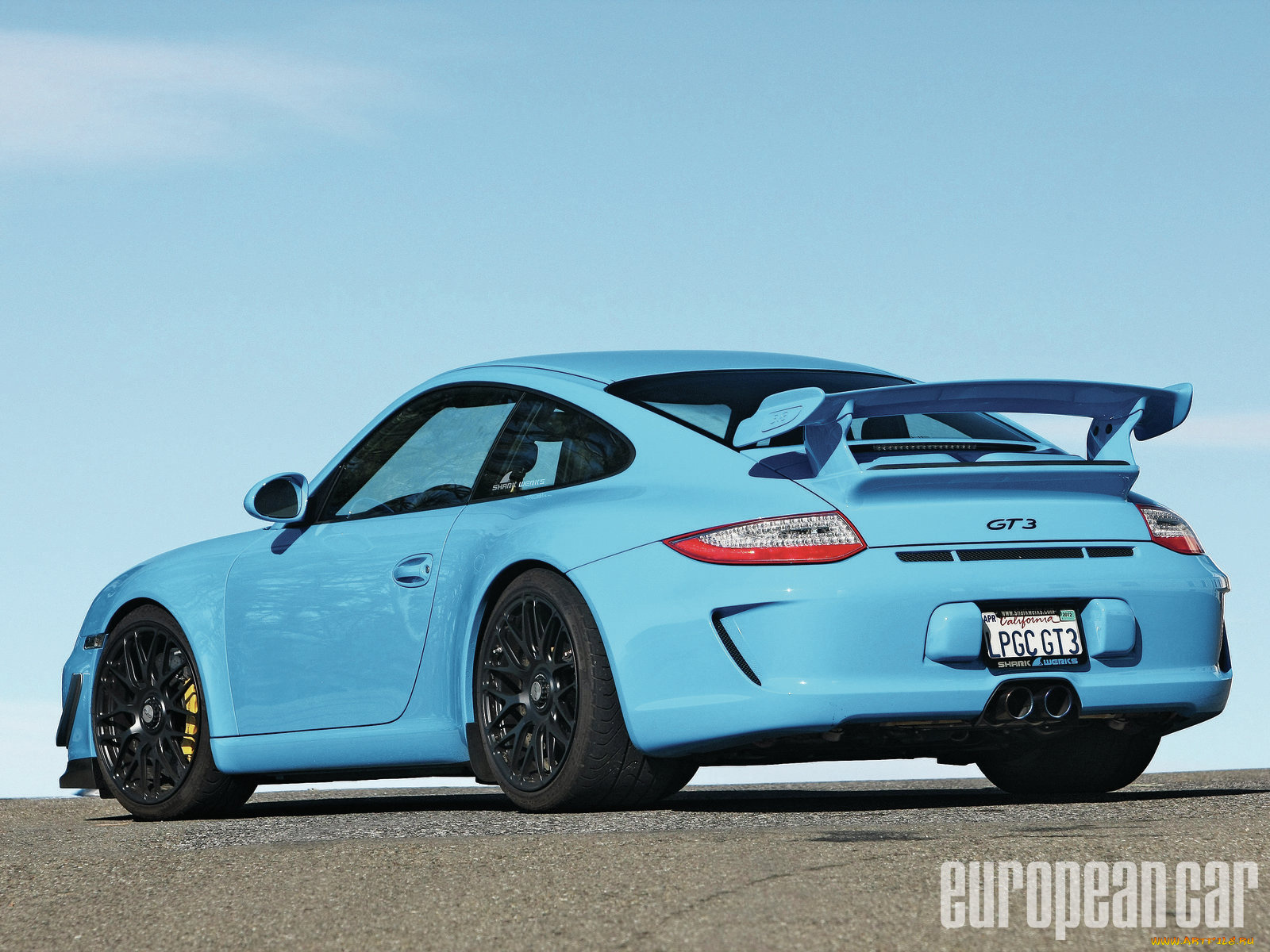 shark, werks, gt3, автомобили, porsche