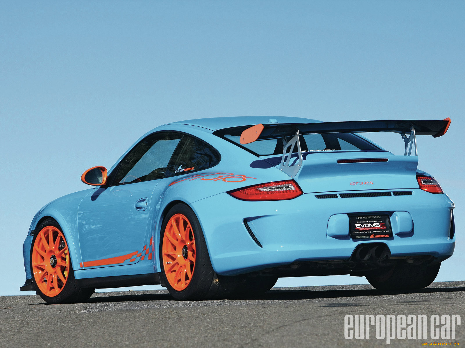 shark, werks, gt3, автомобили, porsche