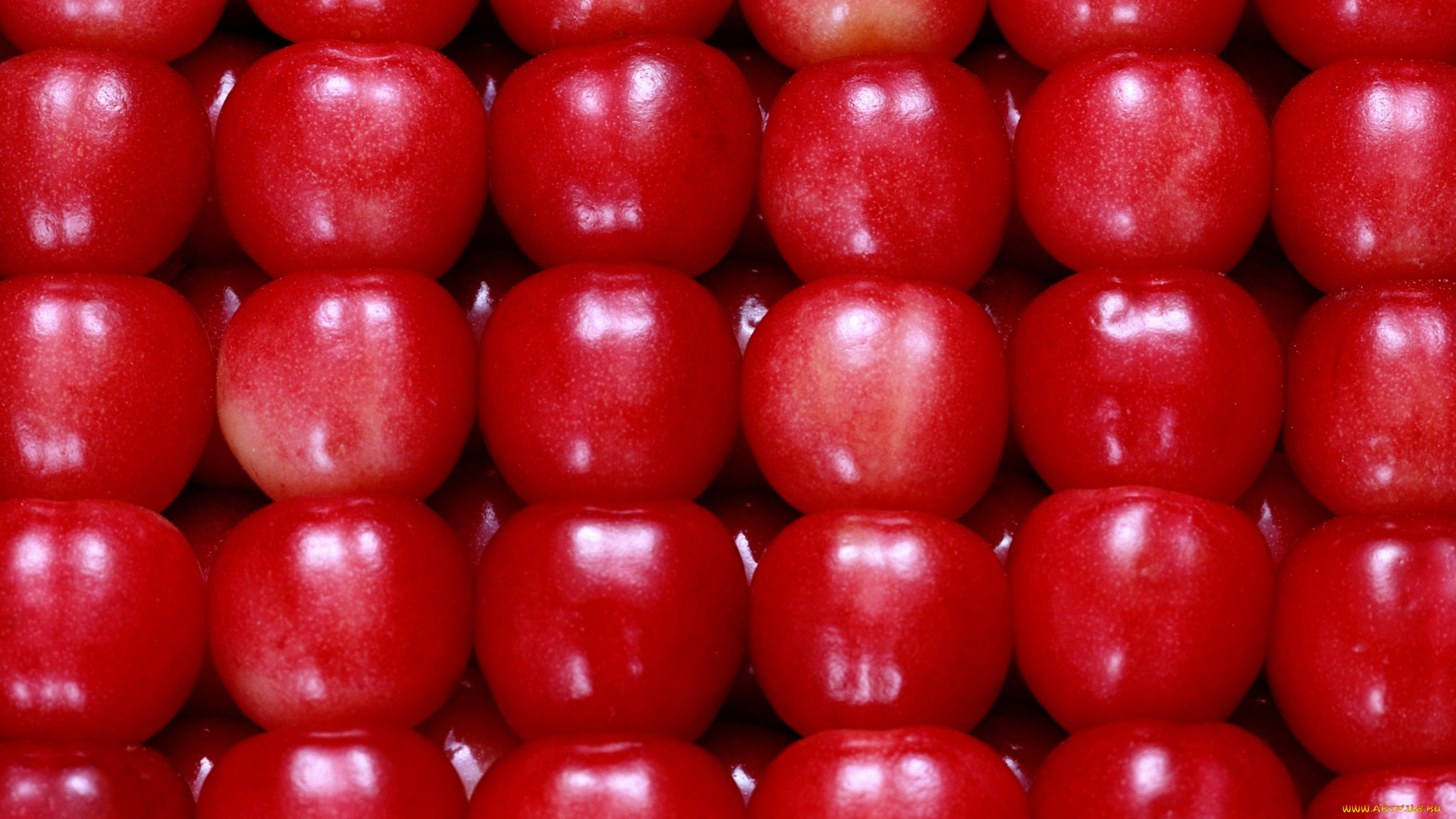 еда, вишня, черешня