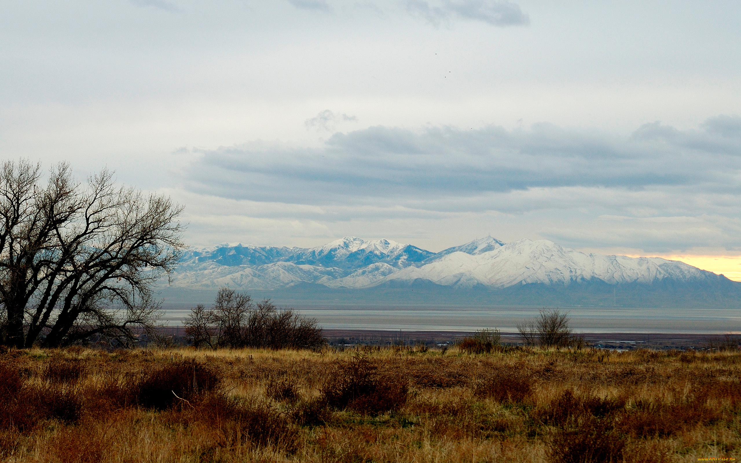 природа, другое, равнина, горы, трава