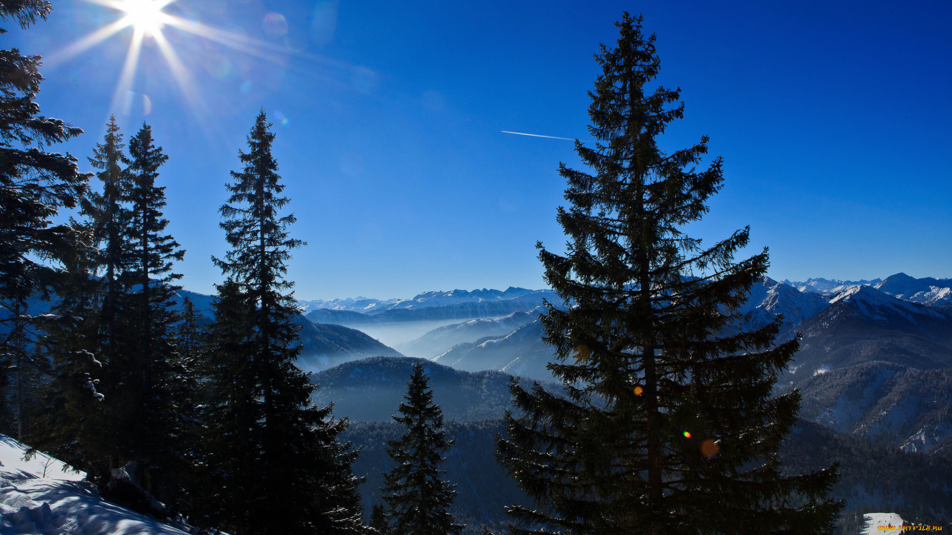 bavarian, alps, germany, природа, горы, ели, германия, баварские, альпы