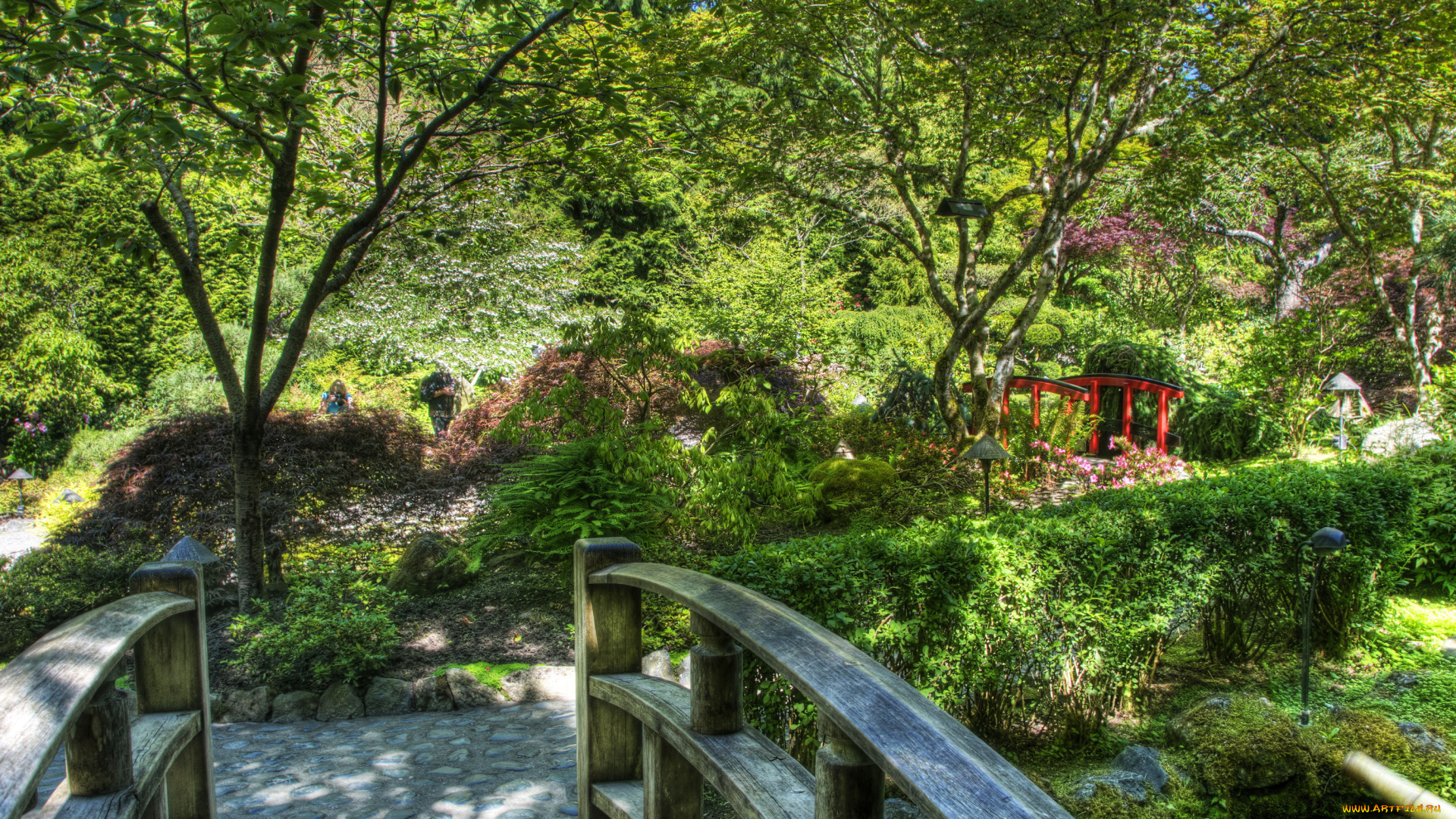 butchart, gardens, victoria, canada, природа, парк, растения