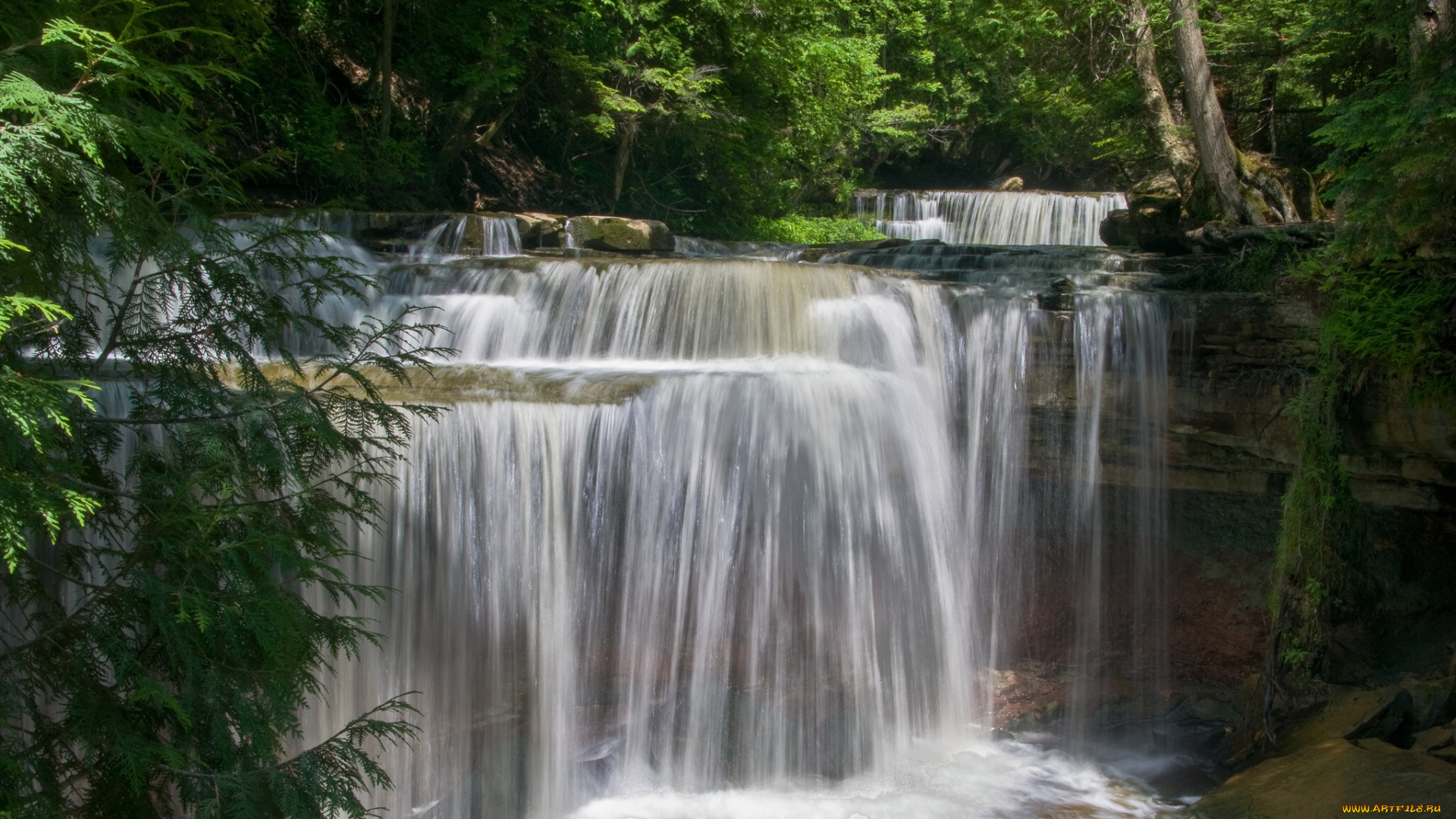 canning, falls, ontario, природа, водопады, лес, каскад