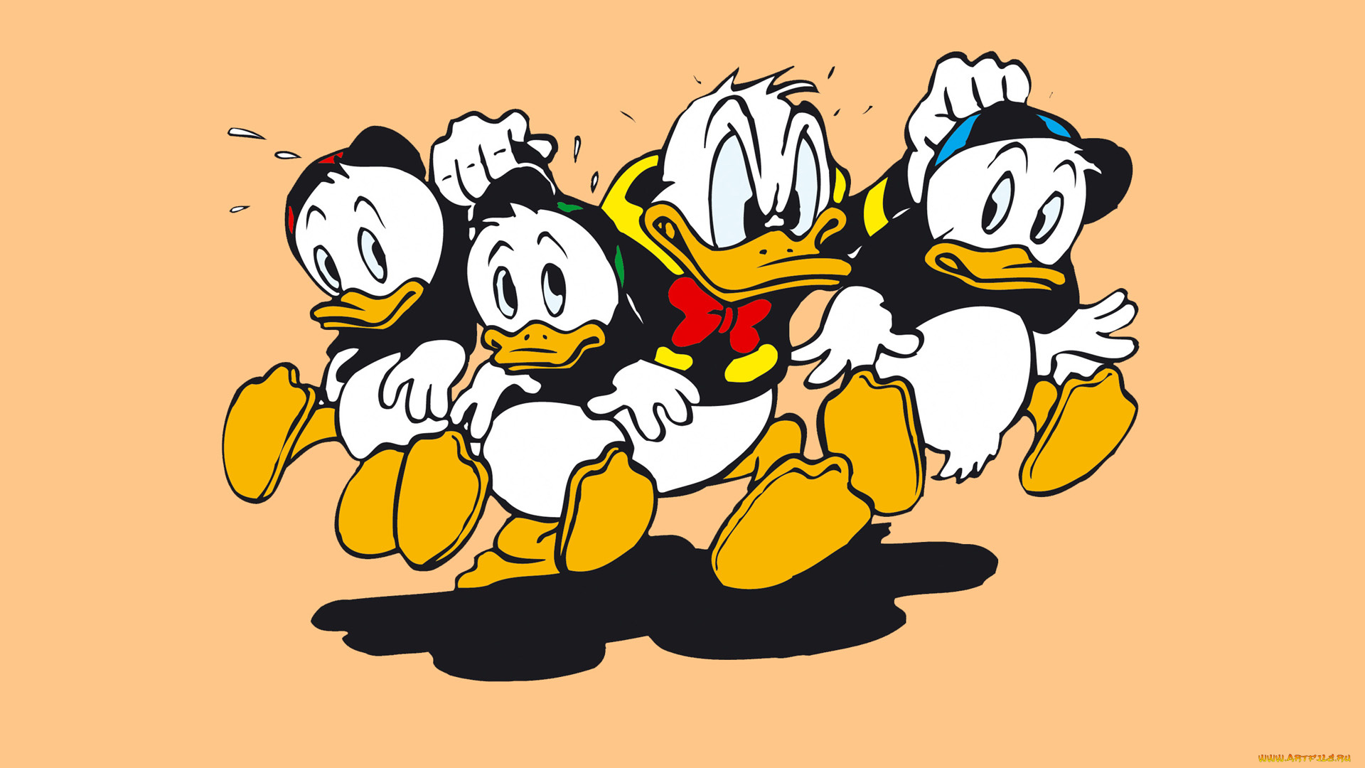 мультфильмы, ducktales, утиные, истории