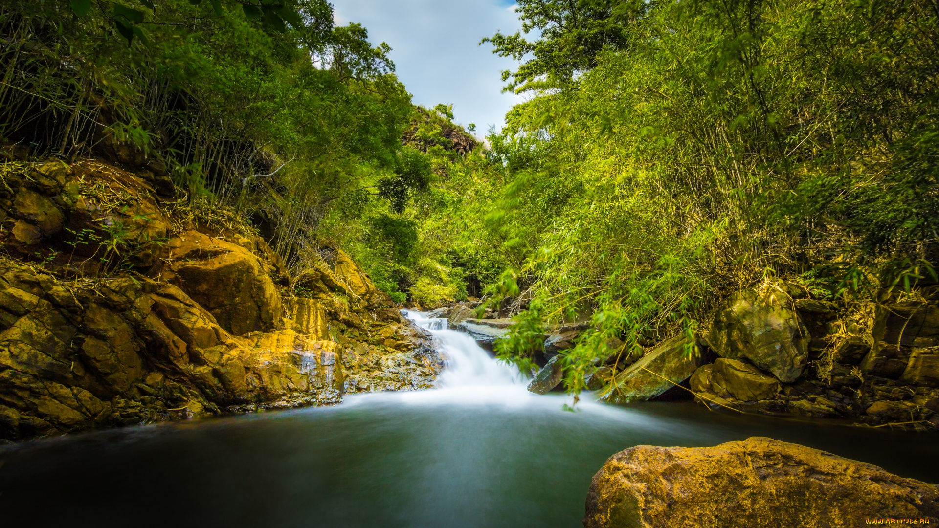 природа, реки, озера, вода, поток, лес