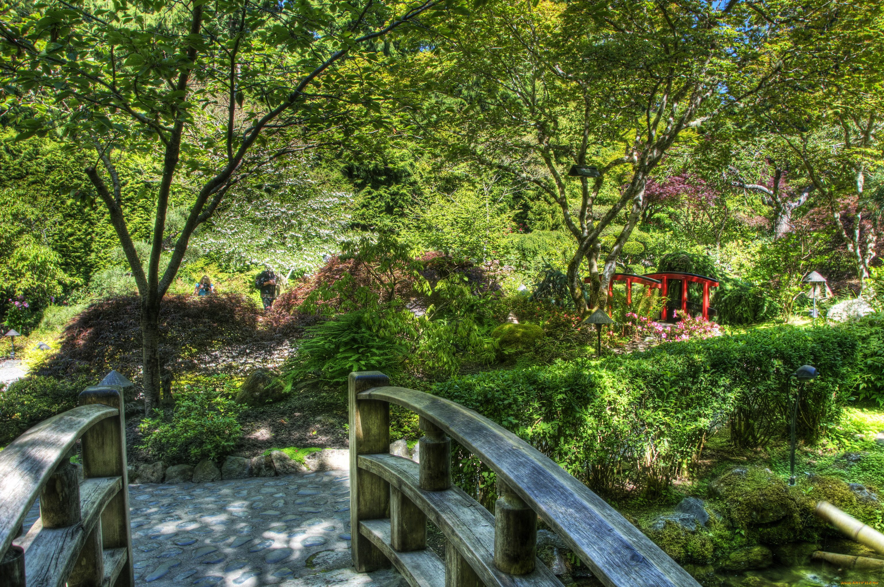 butchart, gardens, victoria, canada, природа, парк, растения