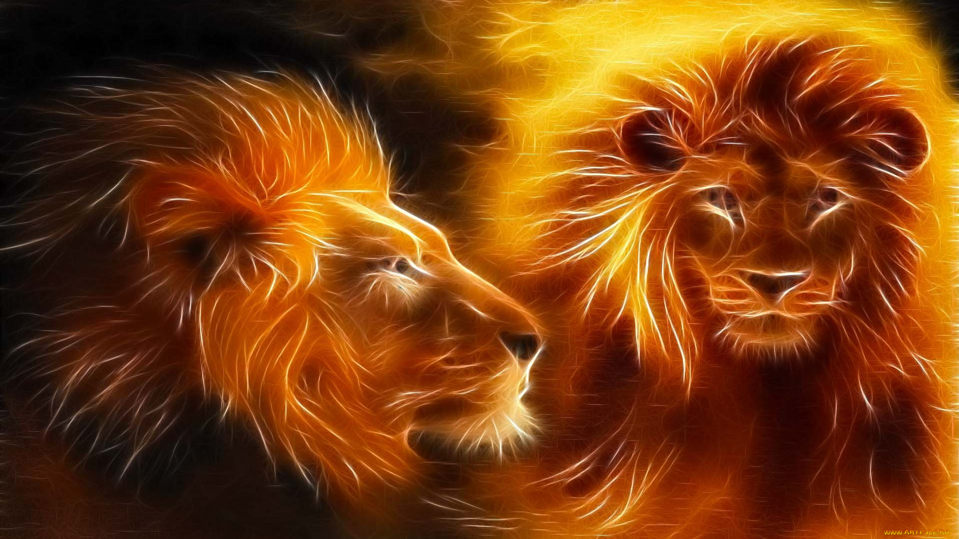 3д, графика, животные, , animals, львы