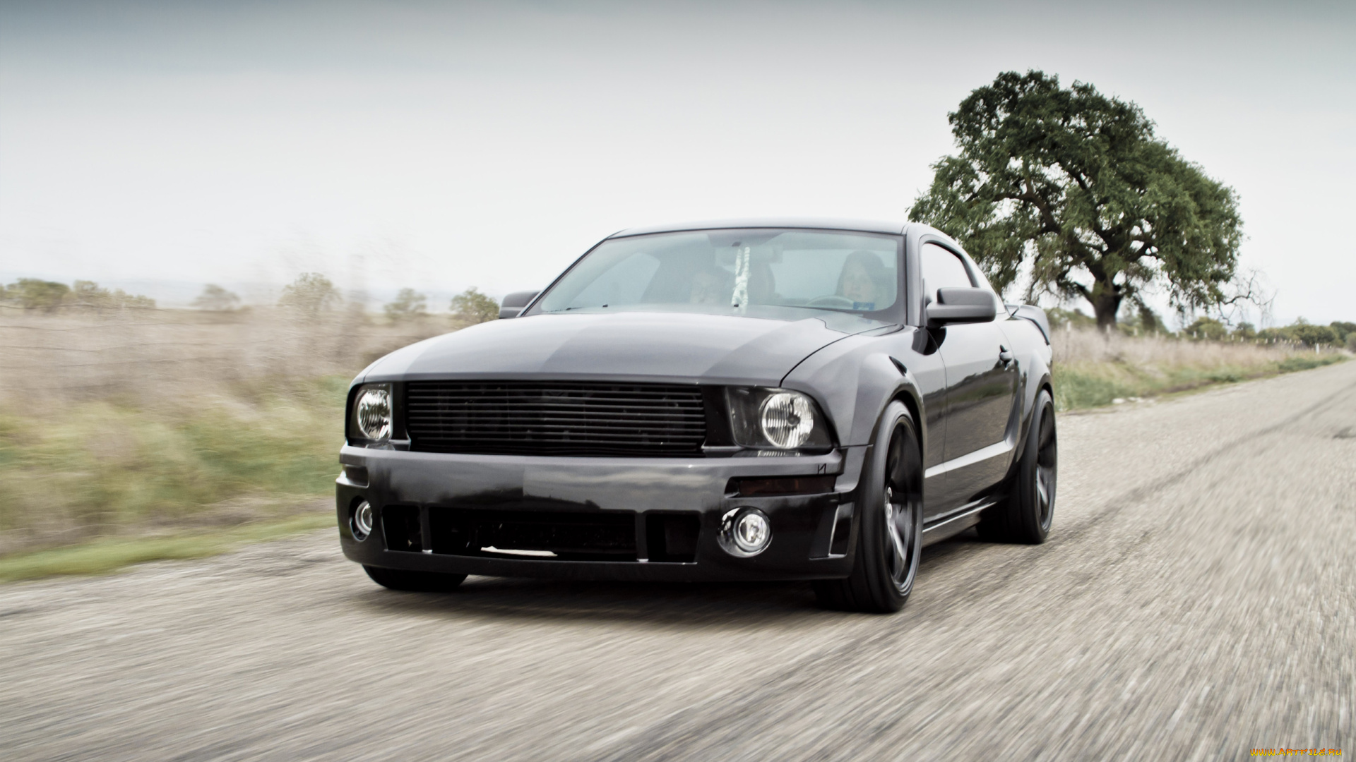 автомобили, mustang, tuning, black