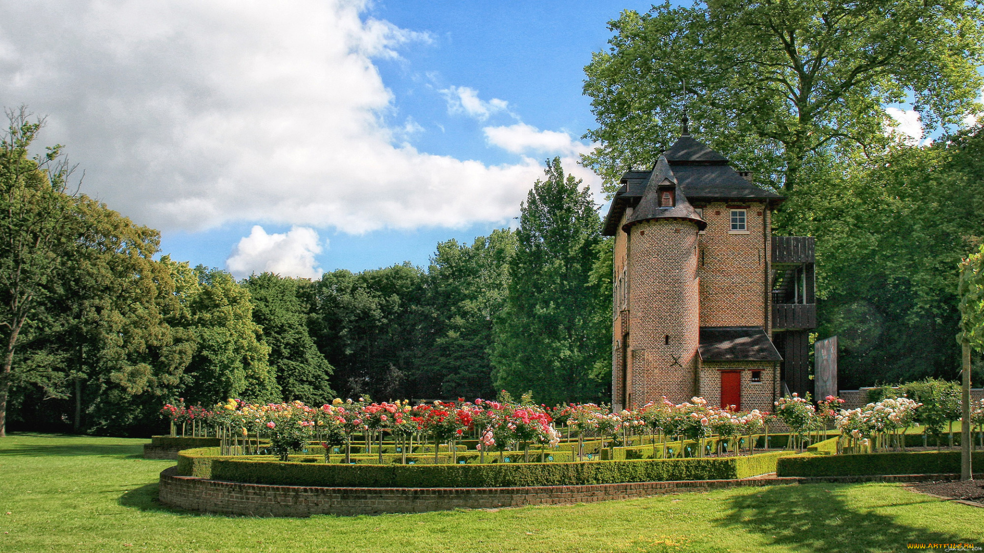 coloma, rose, garden, , бельгия, природа, парк, трава, клумбы, розы, сад, бельгия, кусты