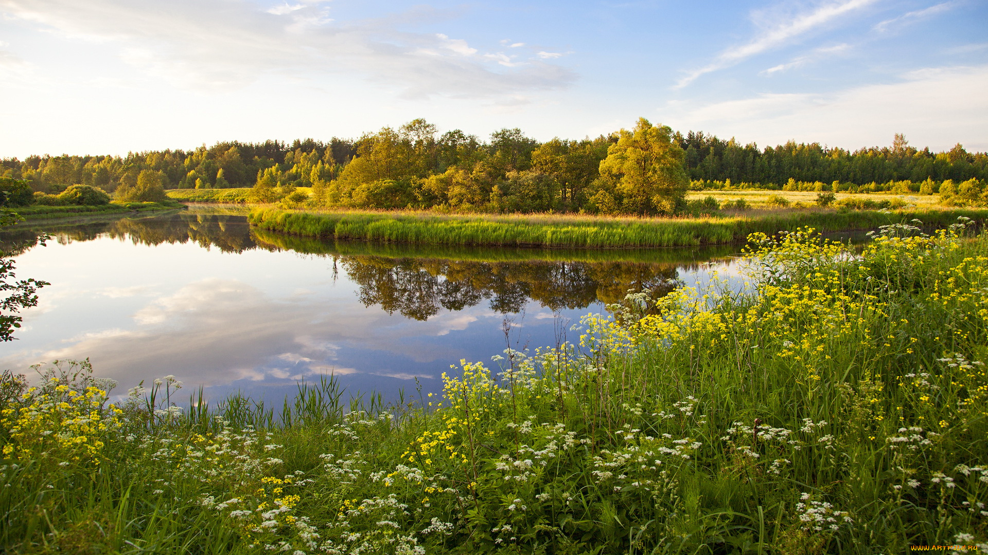 природа, реки, озера, трава, река, тверь, россия