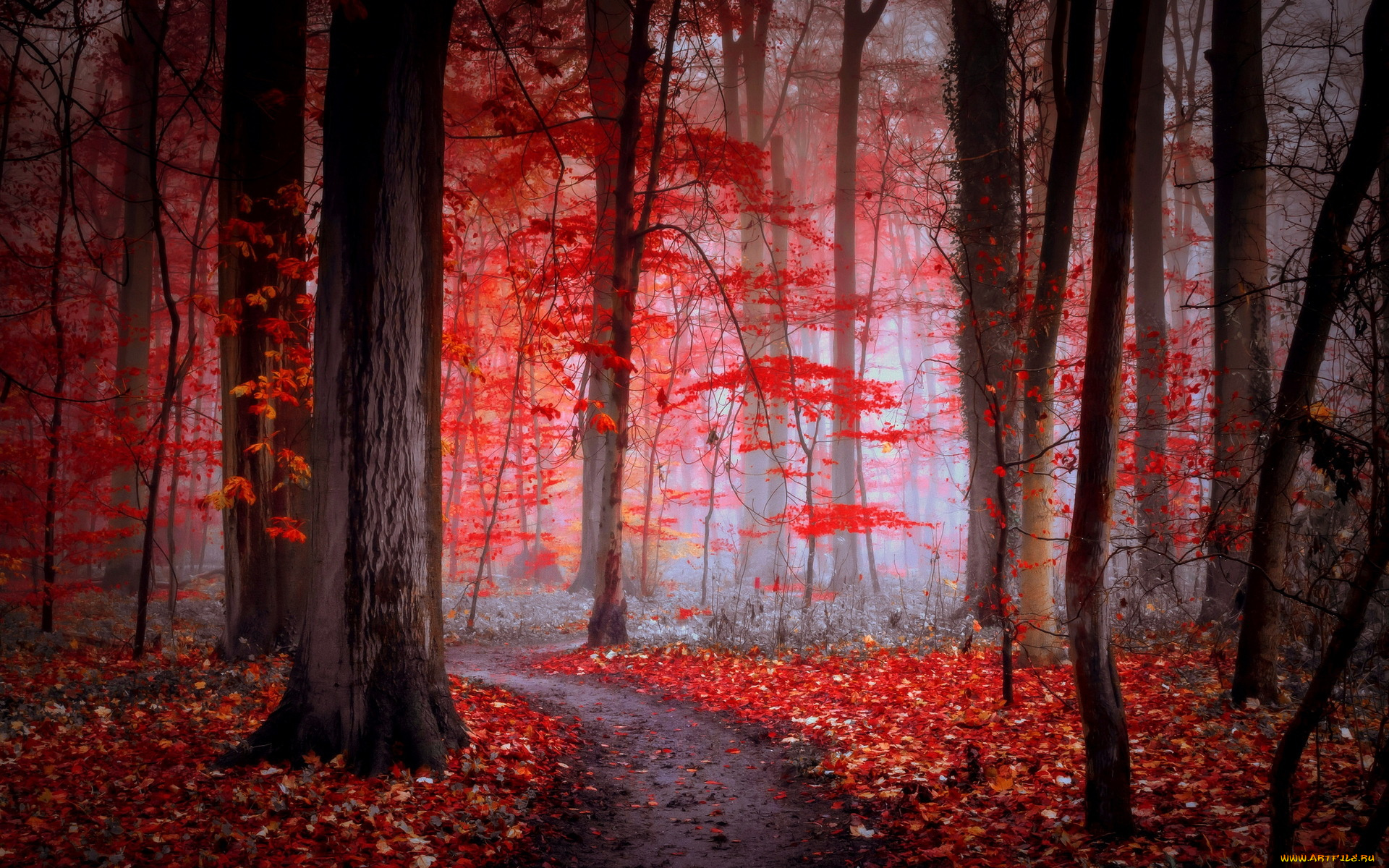 природа, дороги, осень