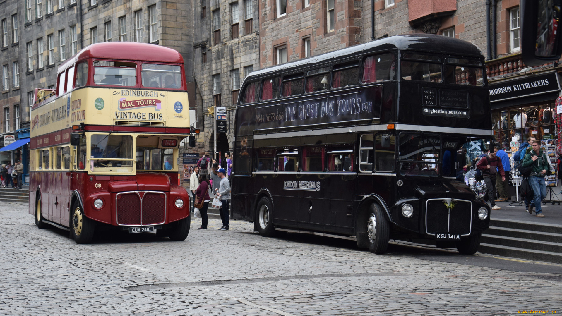 автомобили, автобусы, пассажирский, транспорт