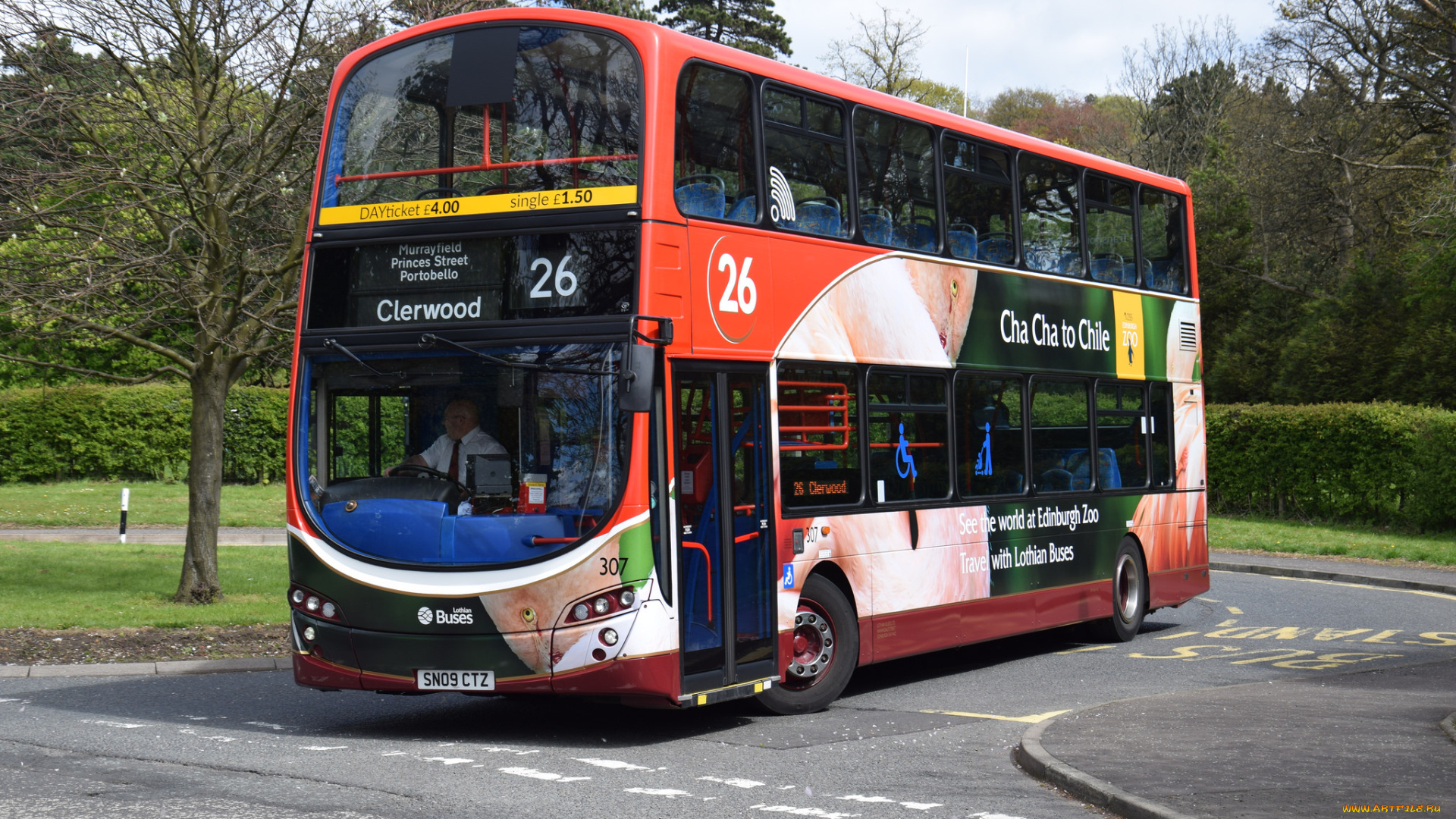 автомобили, автобусы, транспорт, пассажирский