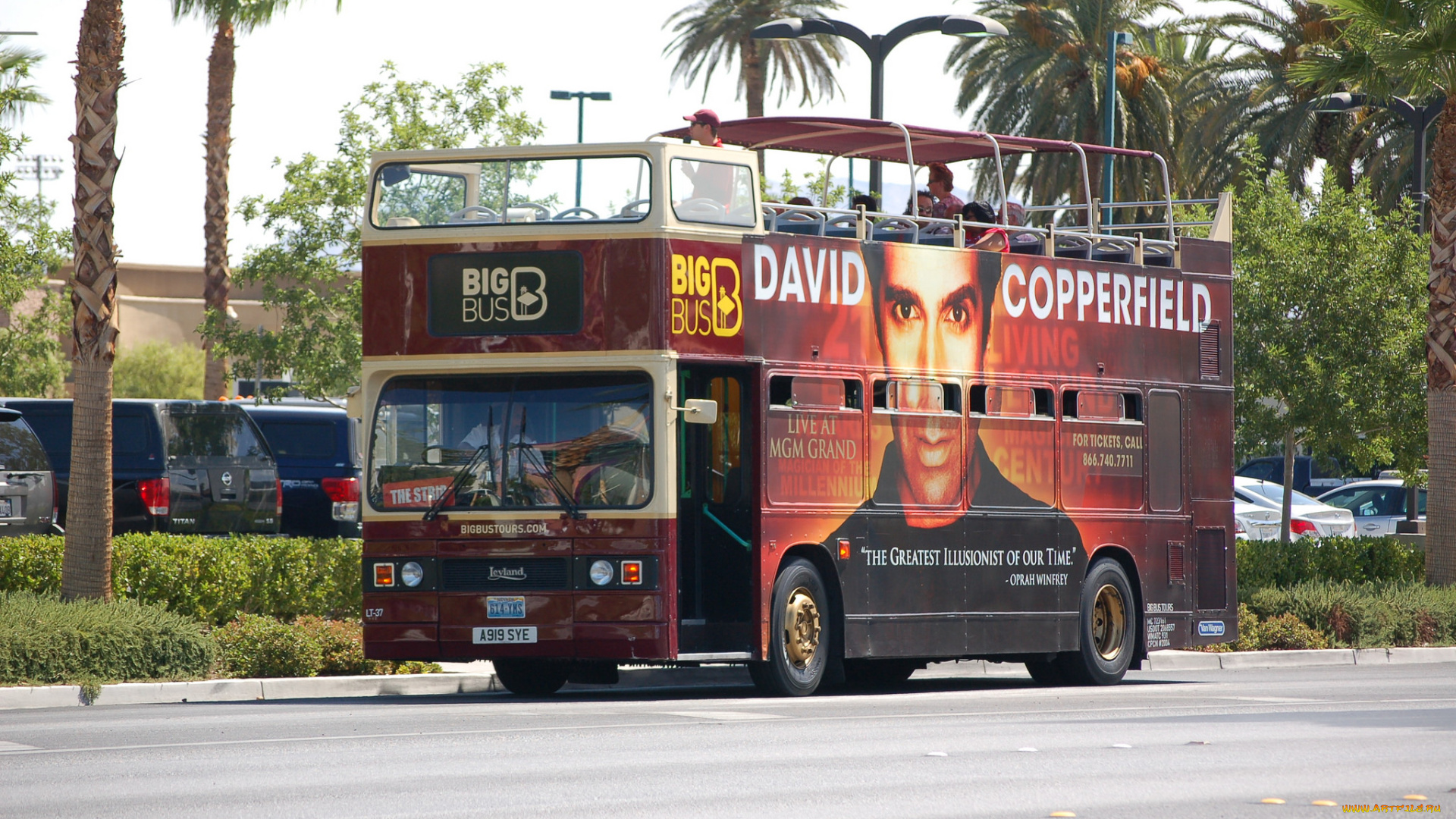 автомобили, автобусы, транспорт, пассажирский