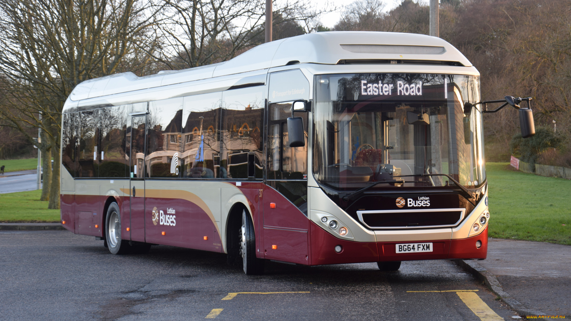 автомобили, автобусы, транспорт, пассажирский