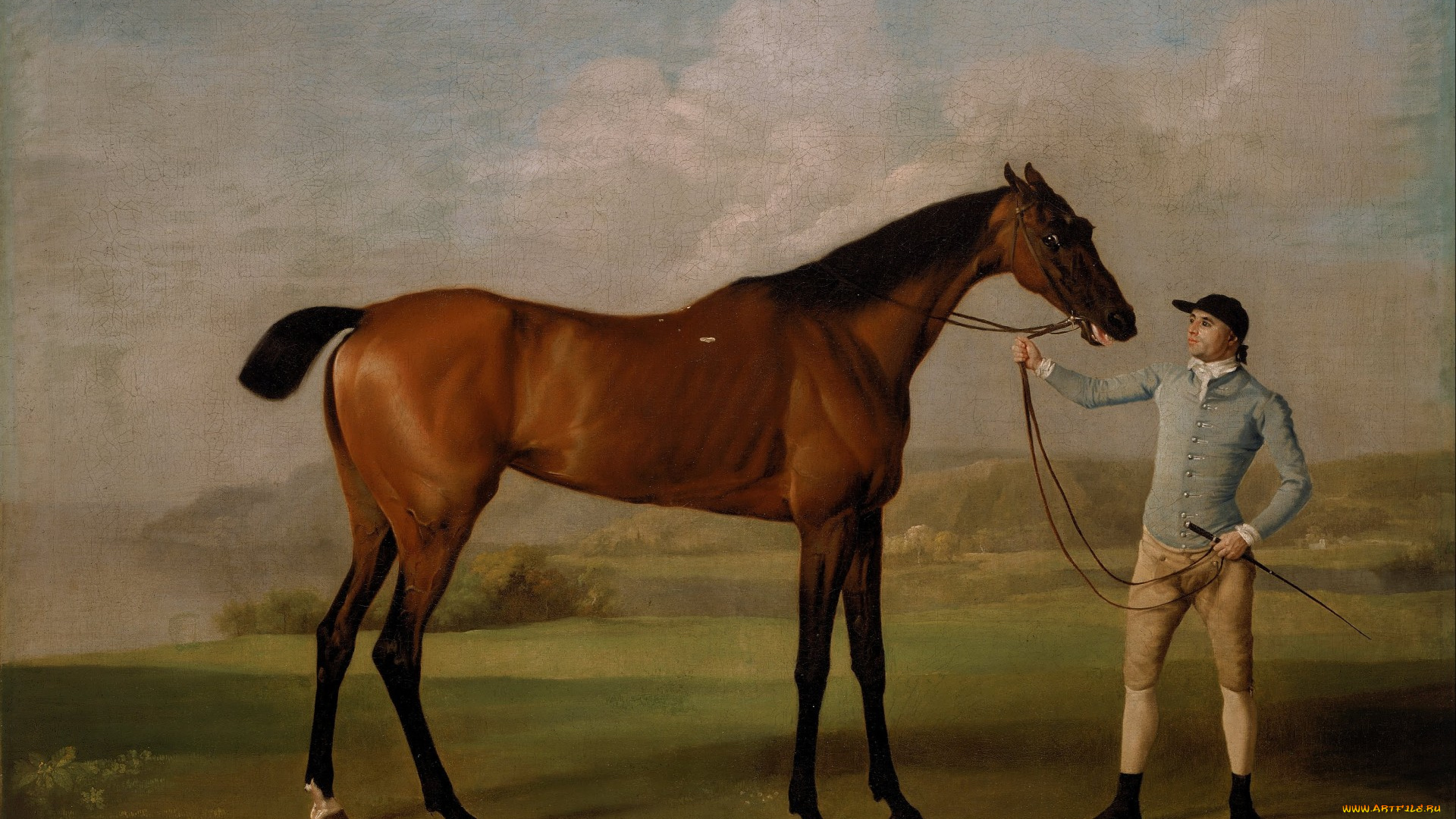 рисованное, живопись, молли, длинные, ноги-жокей, 1761-62, лошадь, картина, стаббс, скаковая, портрет