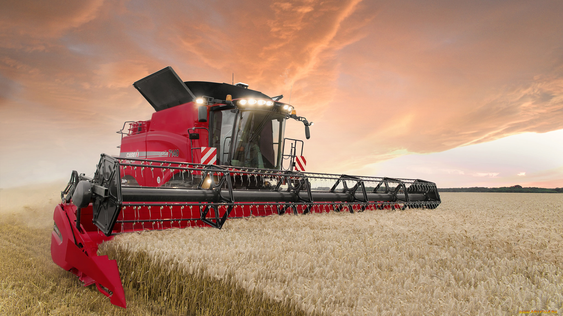 техника, комбайны, поле, комбайн, уборочная