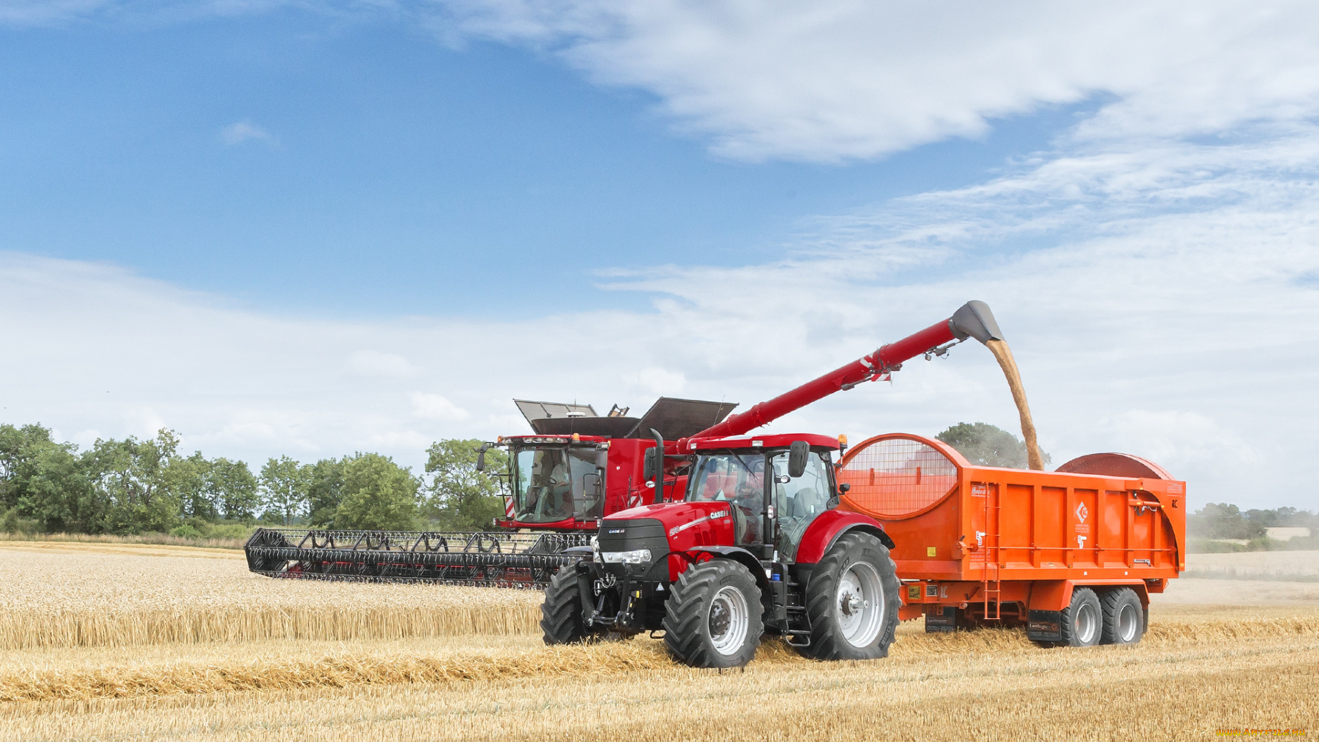 техника, комбайны, поле, уборочная, комбайн