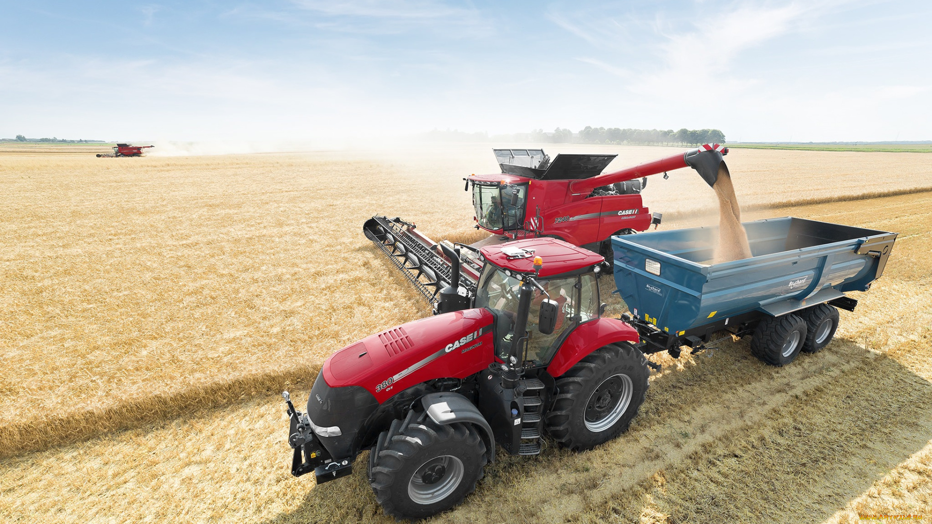 техника, комбайны, поле, уборочная, комбайн