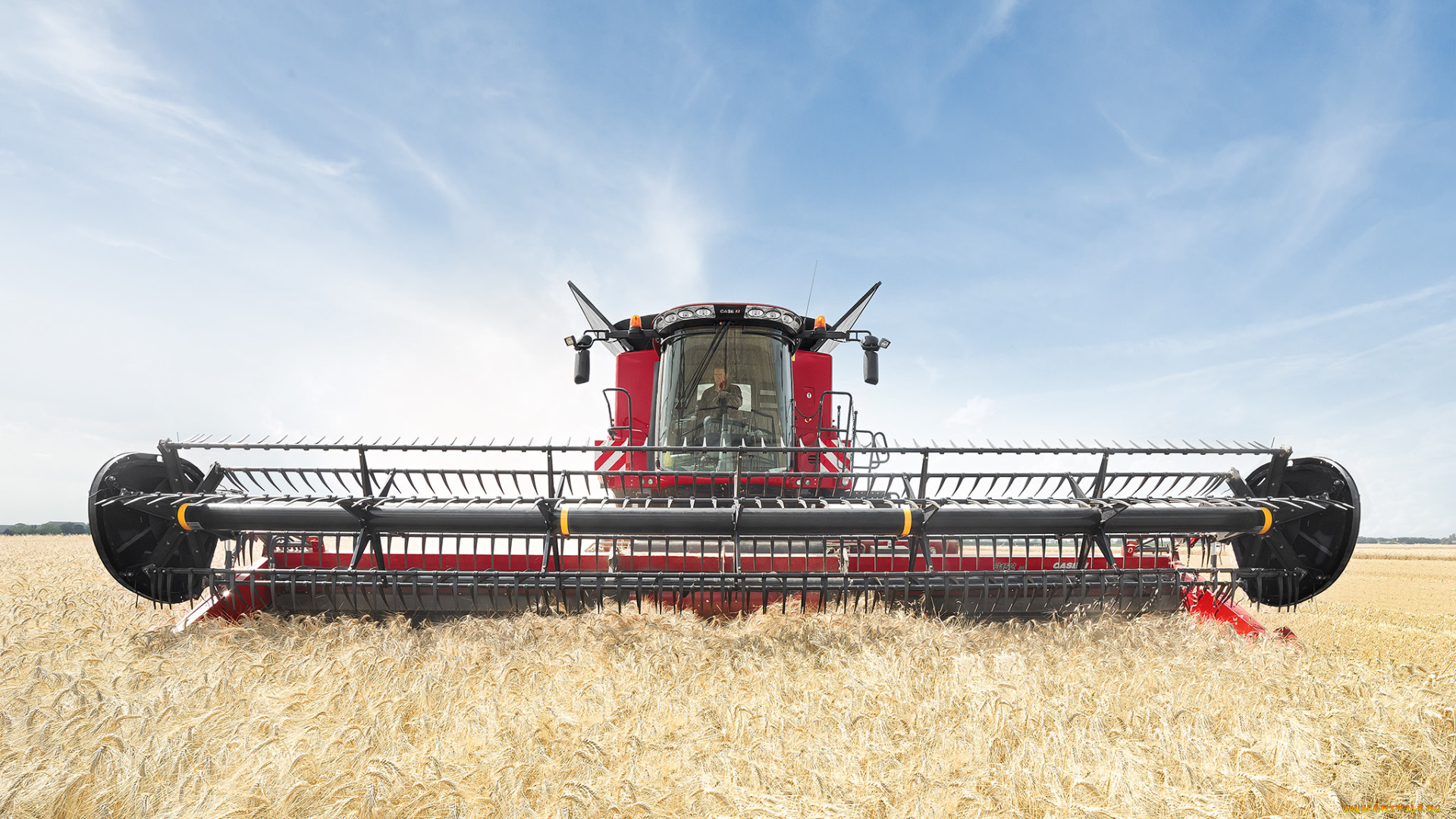 техника, комбайны, поле, уборочная, комбайн