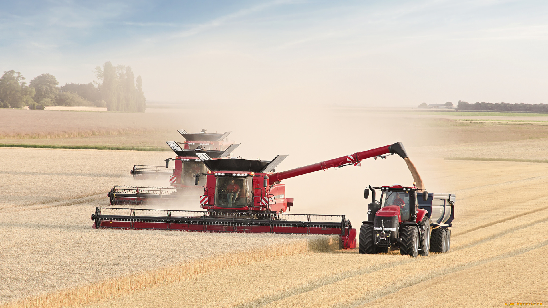 техника, комбайны, уборочная, комбайн, поле