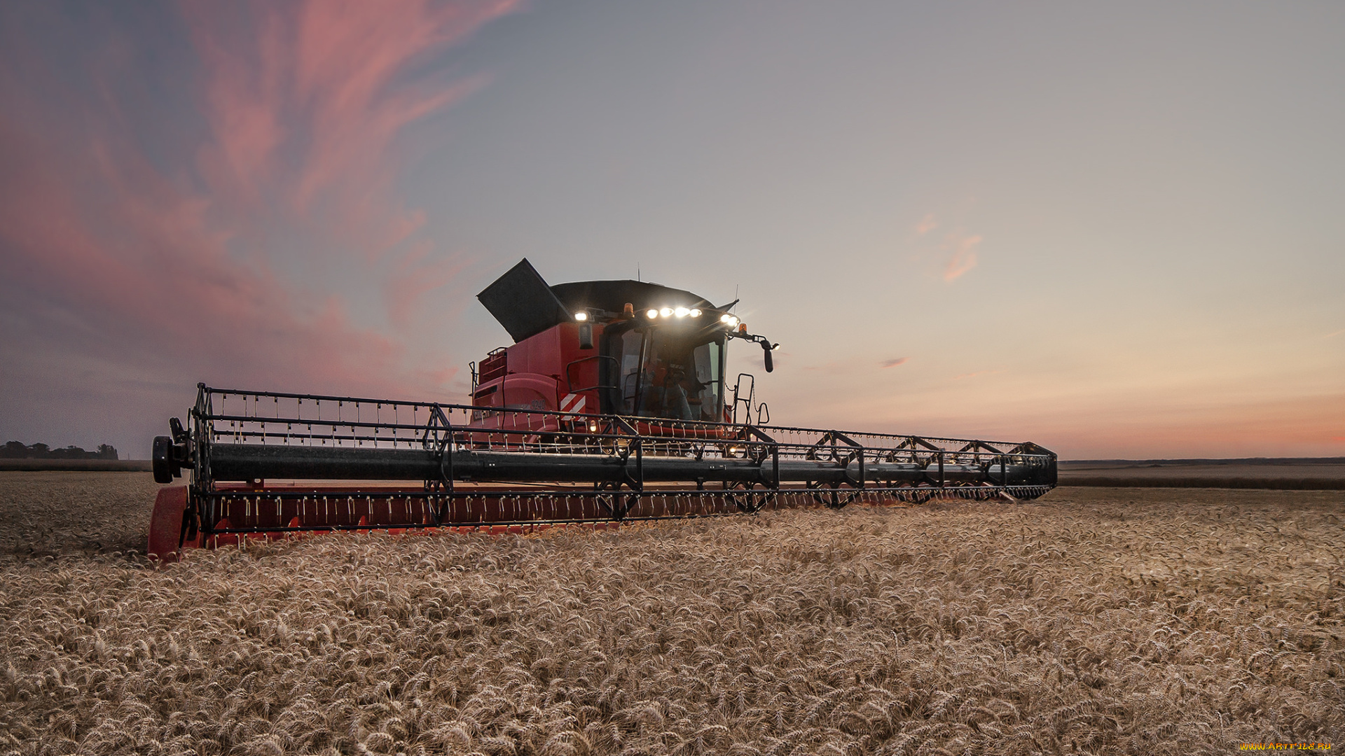 техника, комбайны, уборочная, комбайн, поле