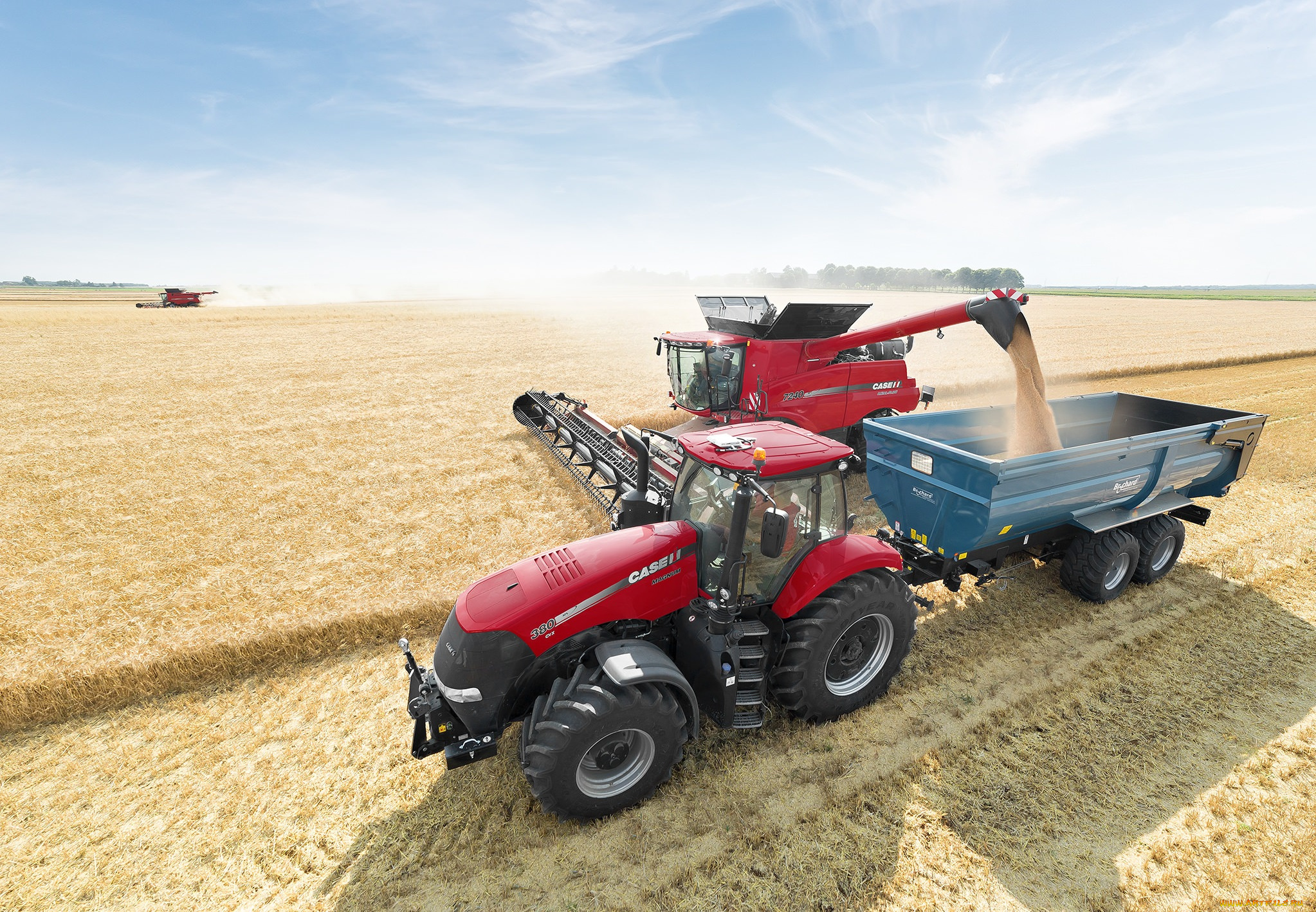 техника, комбайны, поле, уборочная, комбайн