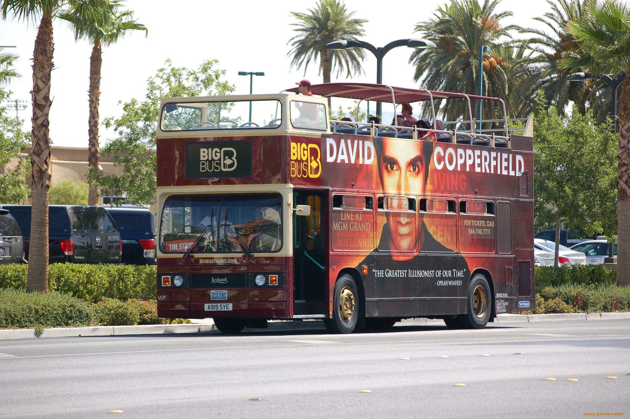 автомобили, автобусы, транспорт, пассажирский