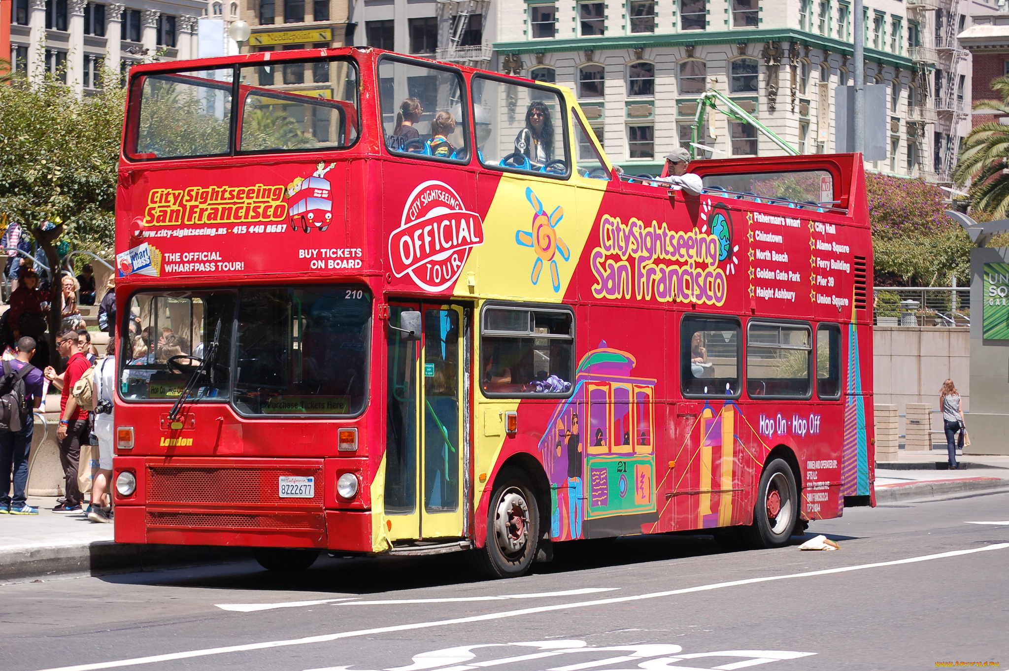 автомобили, автобусы, транспорт, пассажирский