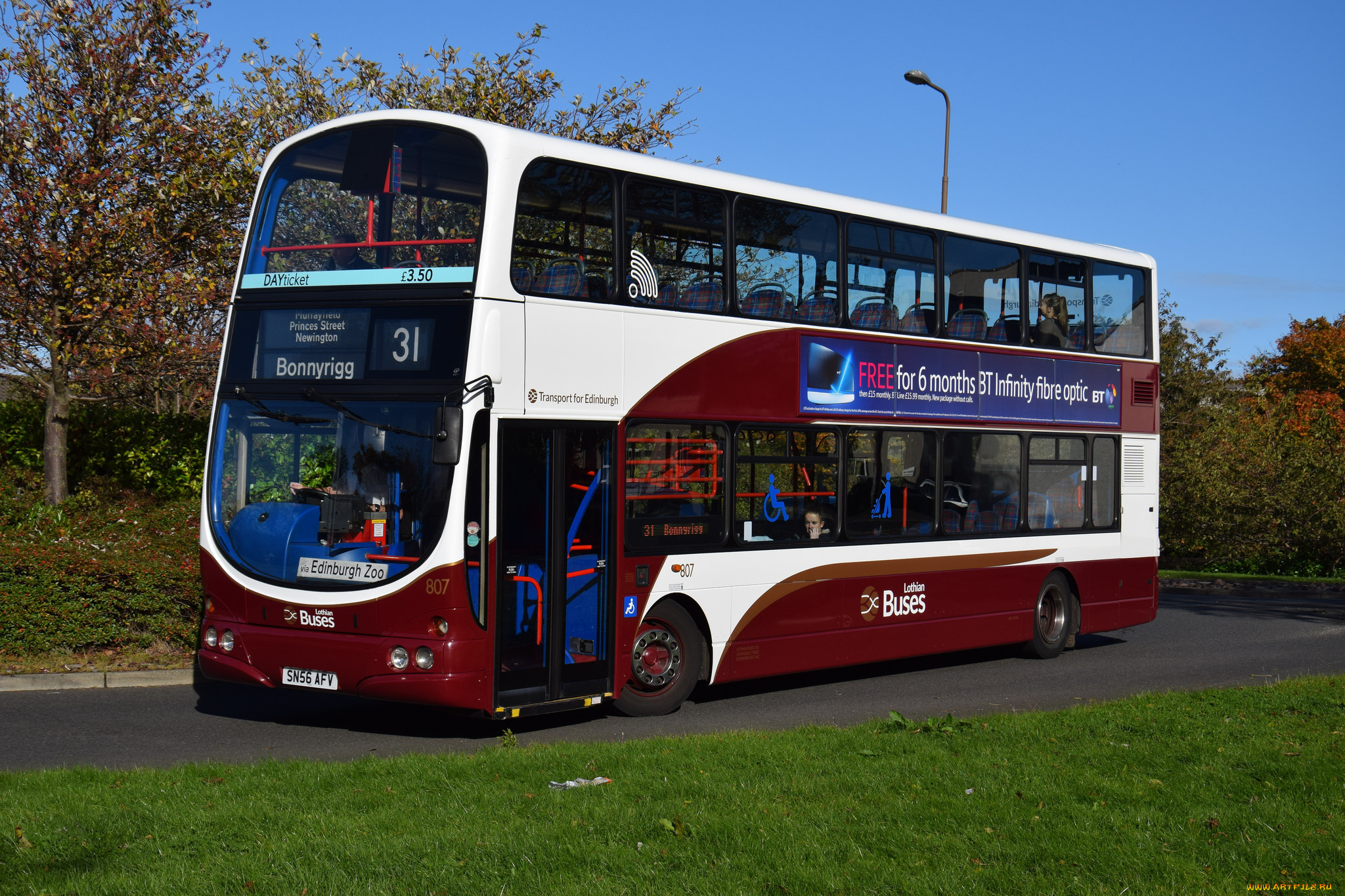 автомобили, автобусы, пассажирский, транспорт