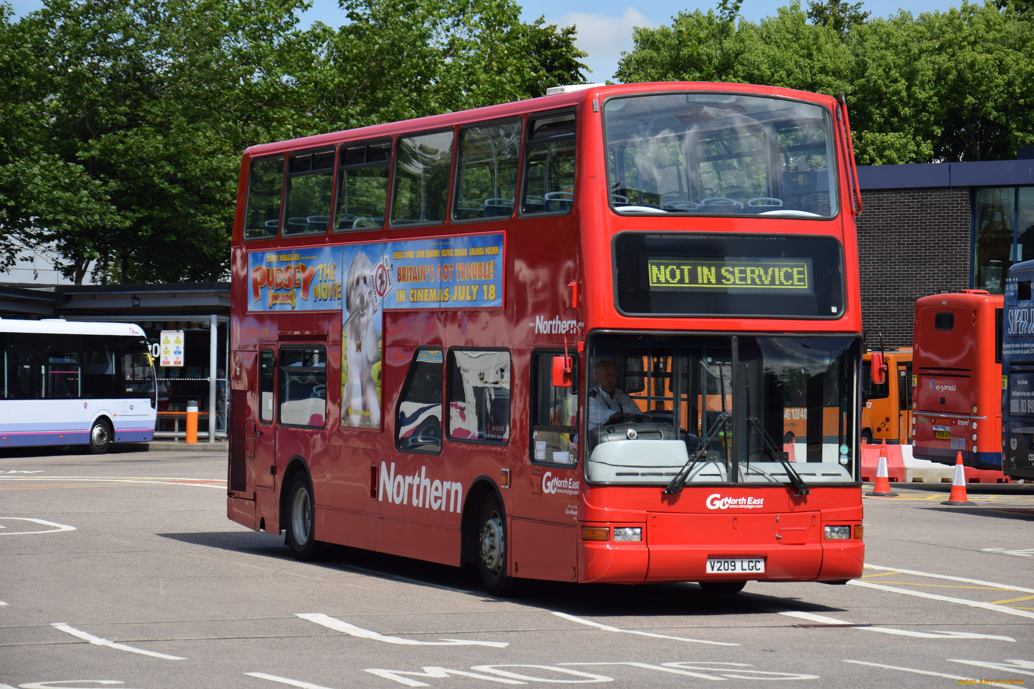 автомобили, автобусы, пассажирский, транспорт