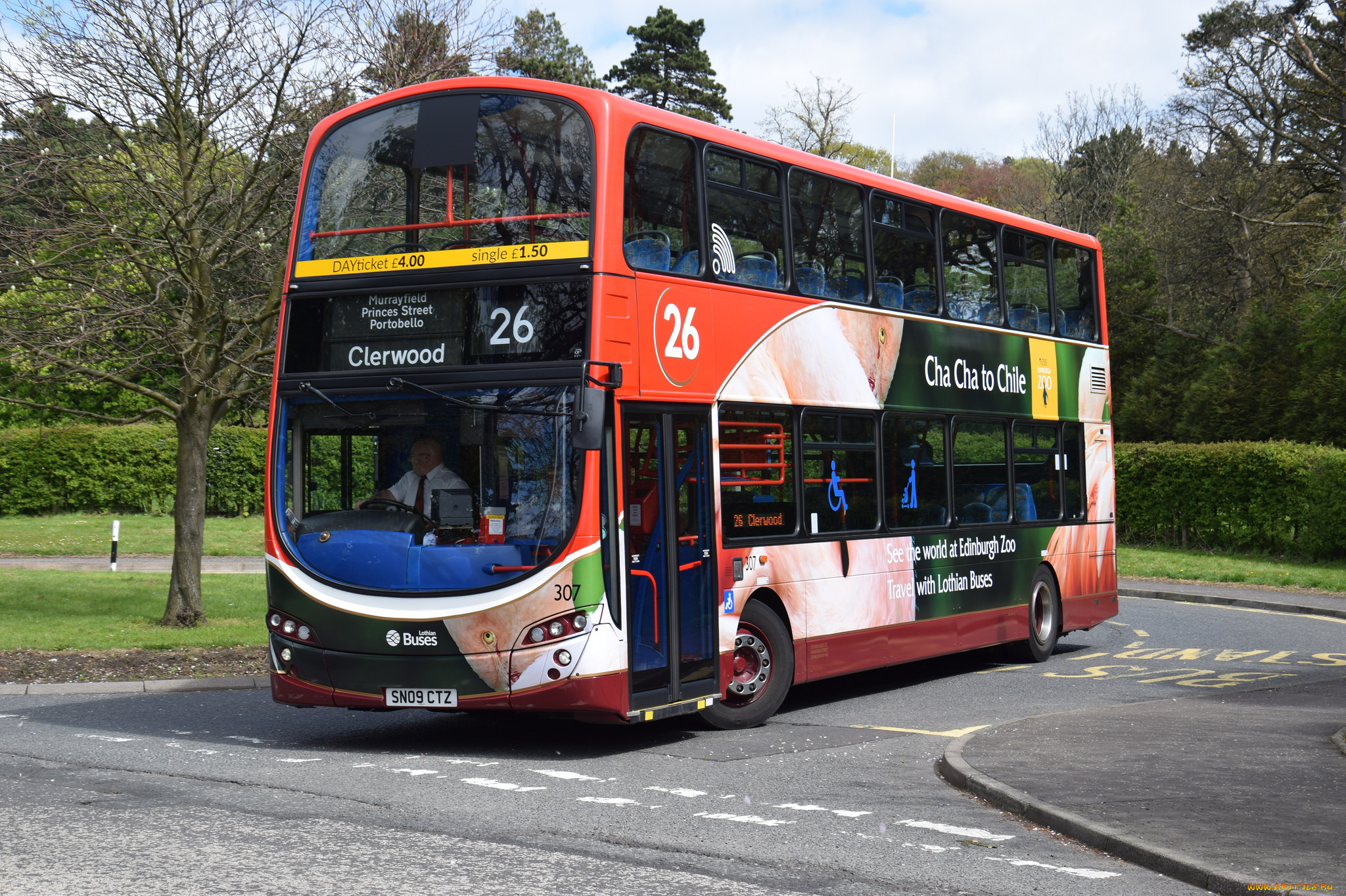 автомобили, автобусы, транспорт, пассажирский