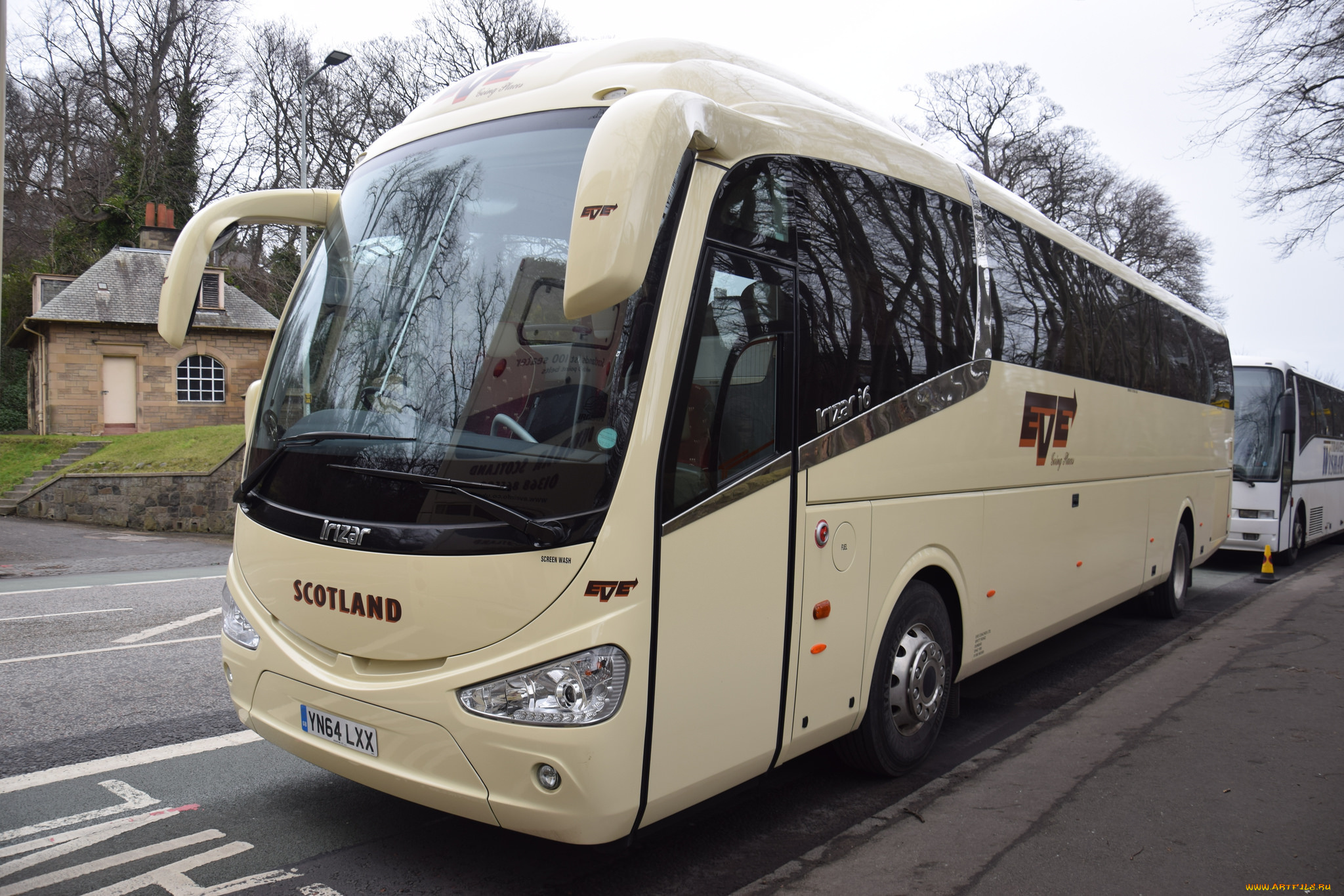 автомобили, автобусы, транспорт, пассажирский