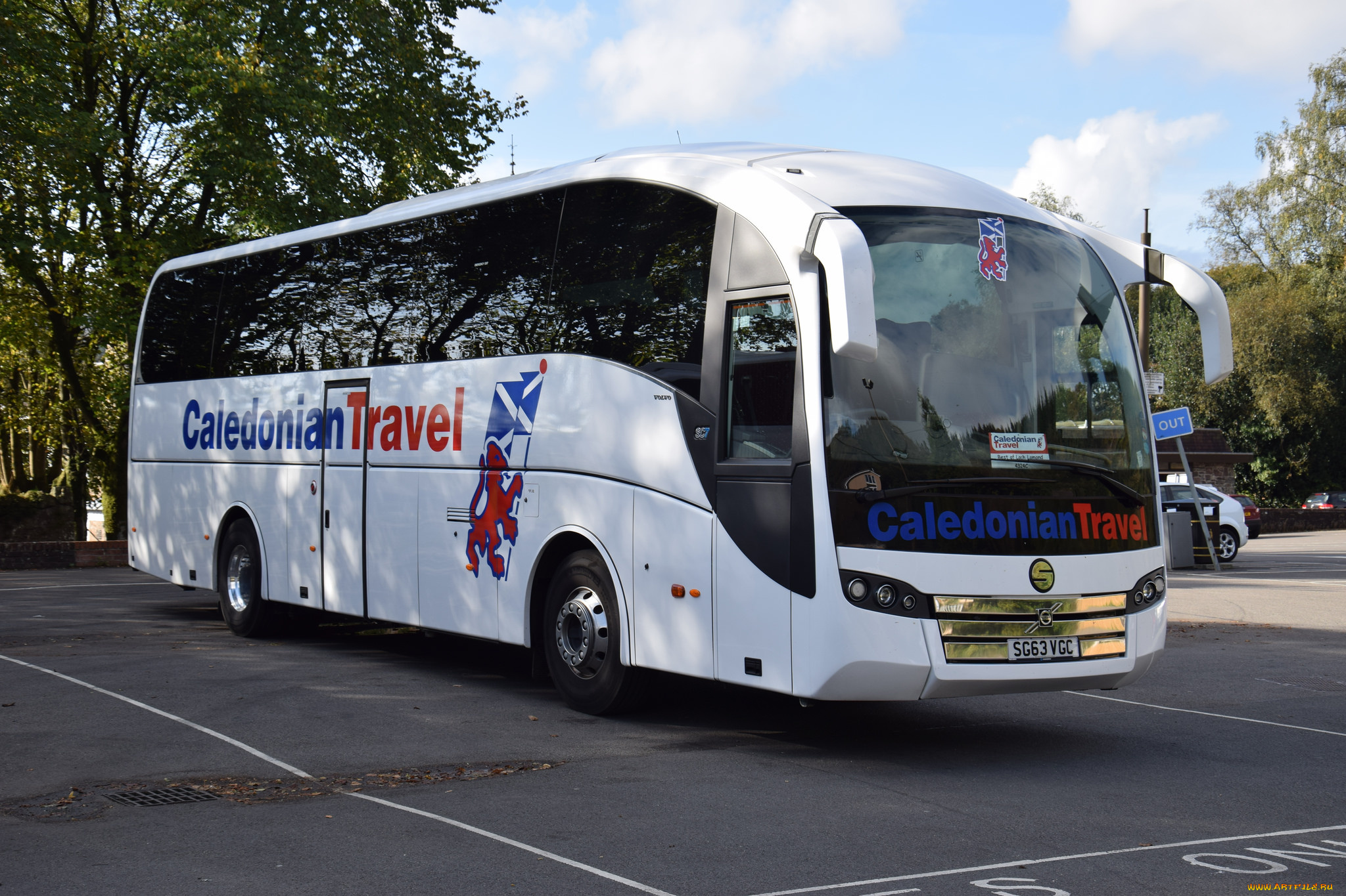 автомобили, автобусы, транспорт, пассажирский