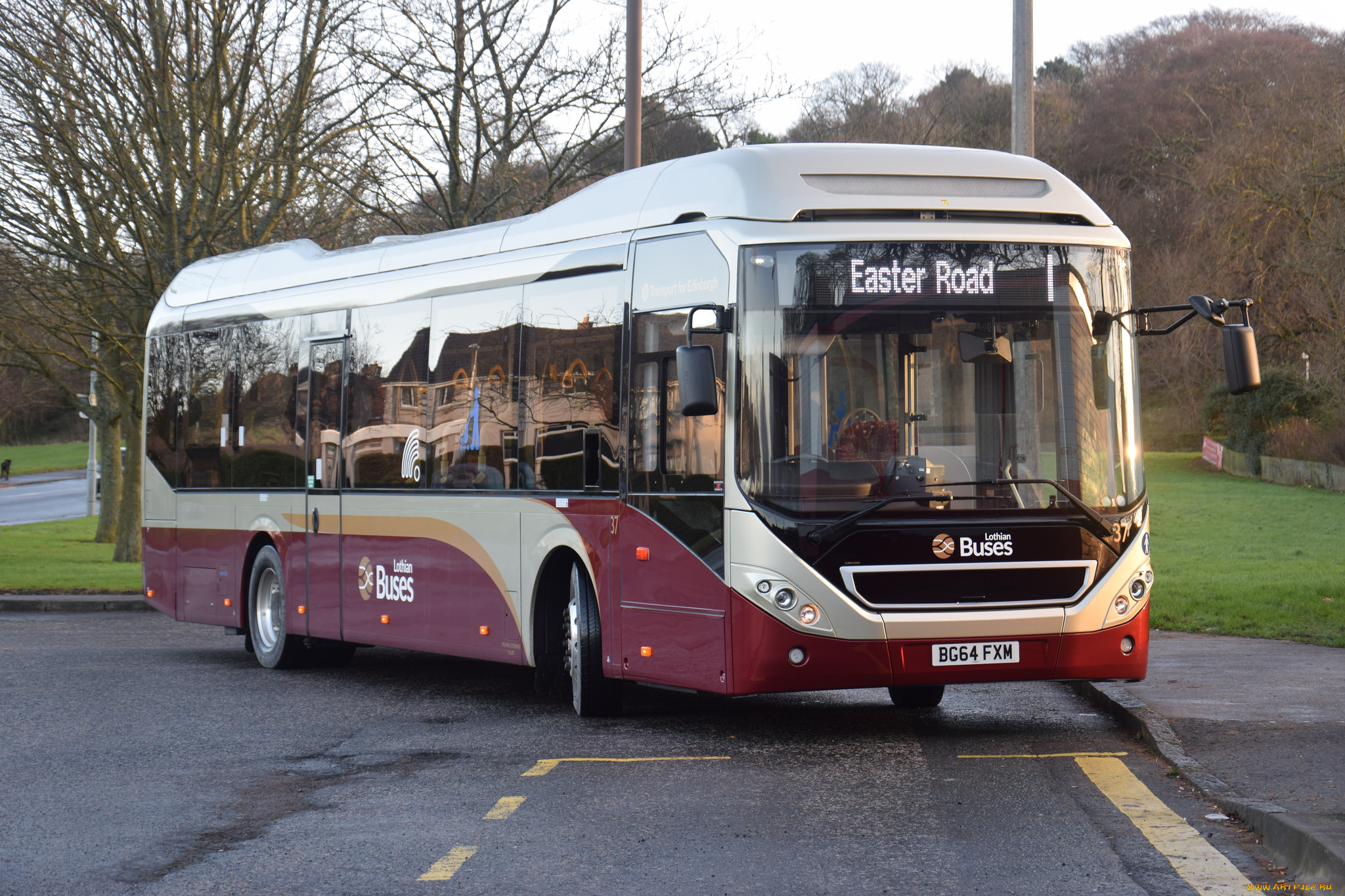 автомобили, автобусы, транспорт, пассажирский