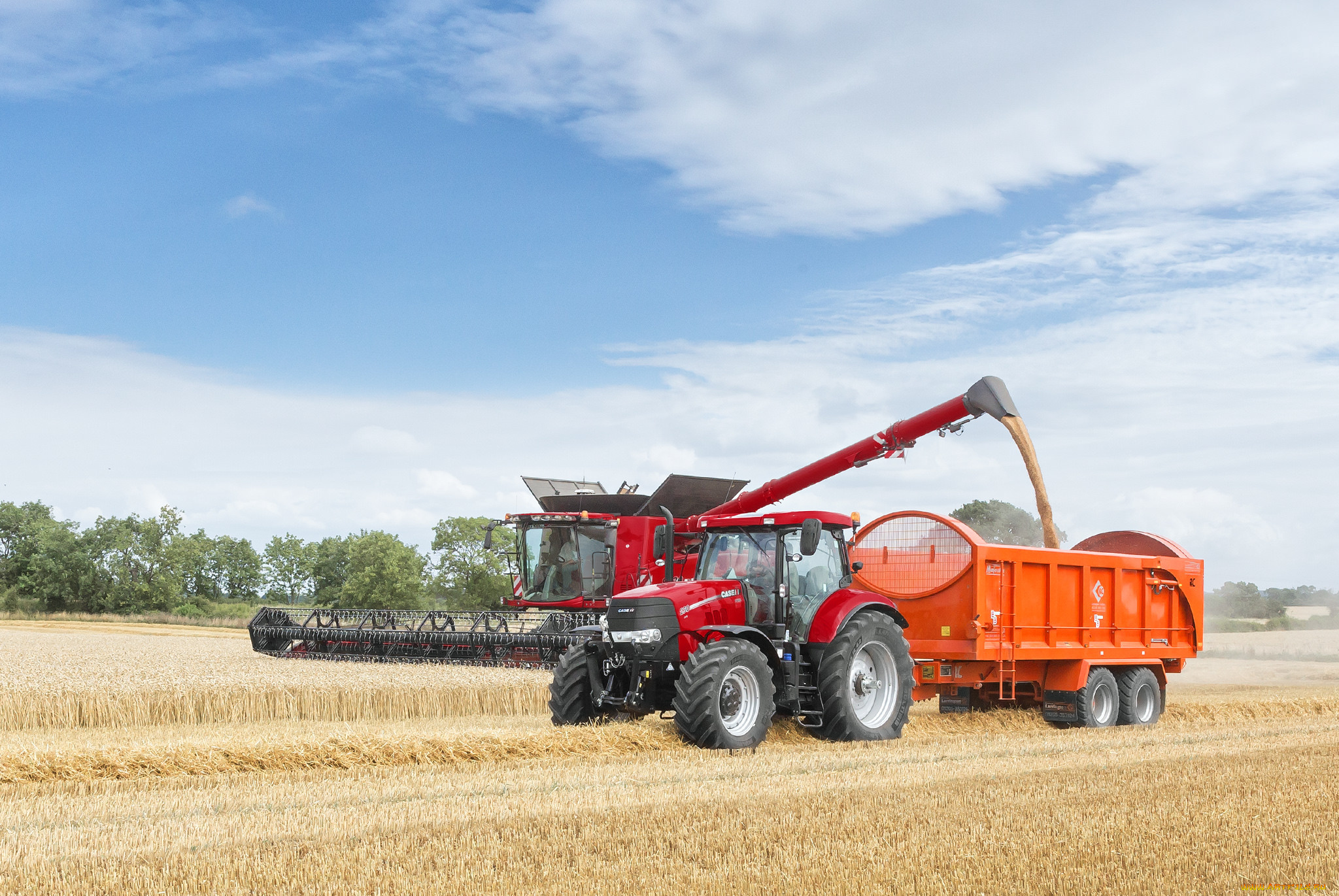 техника, комбайны, поле, уборочная, комбайн