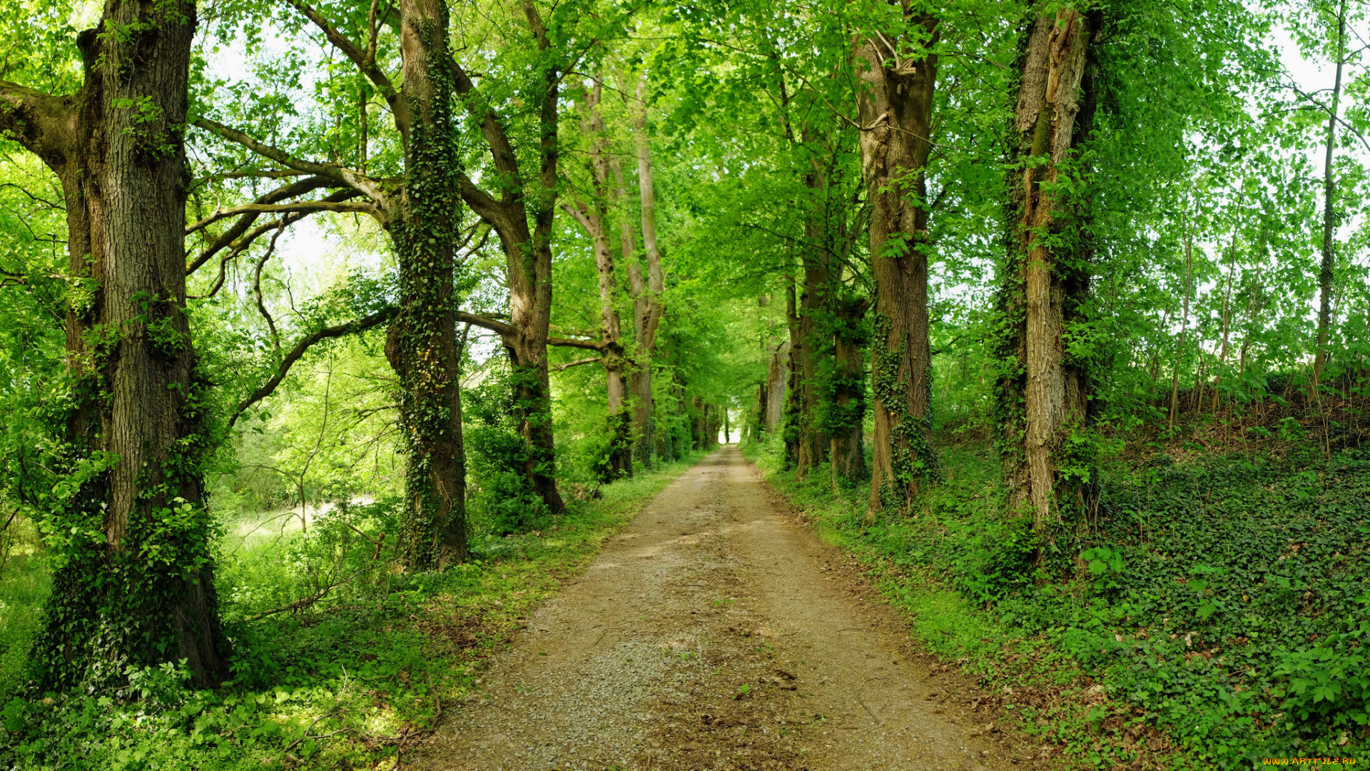 природа, дороги, скалы